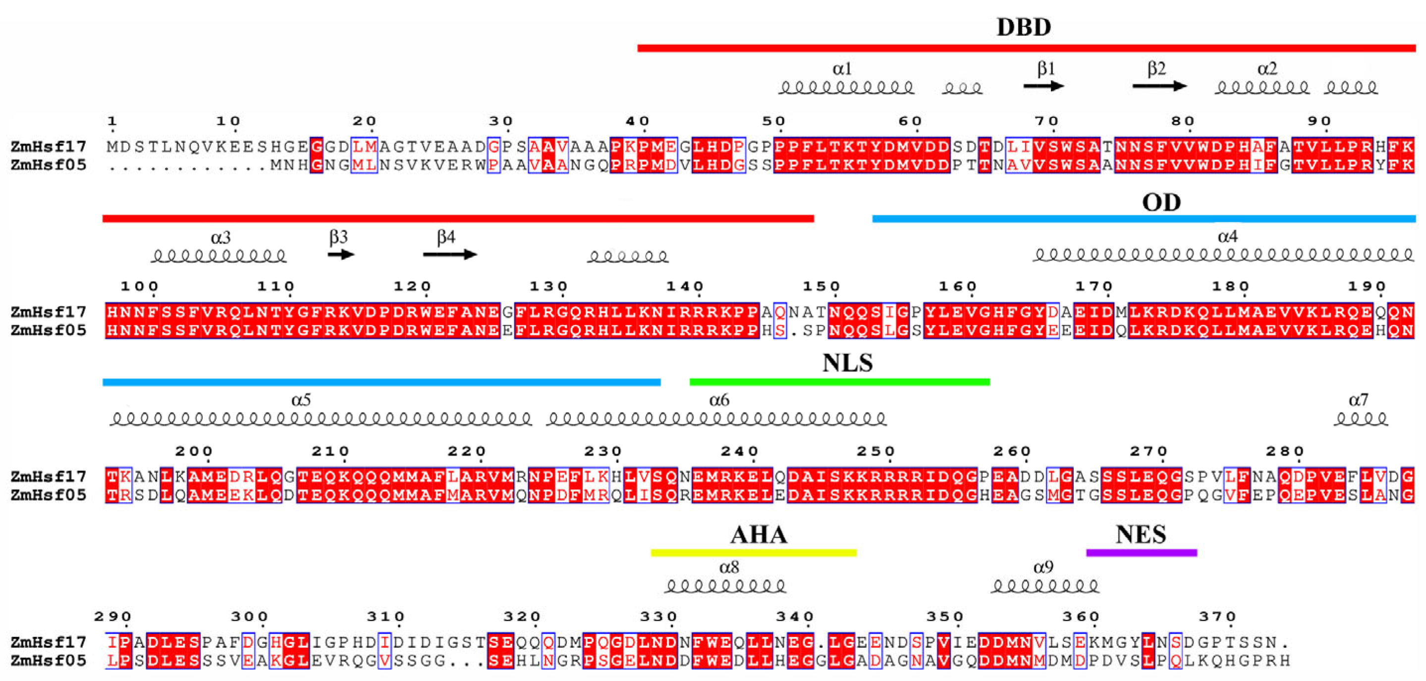 Plants 14 01950 g003