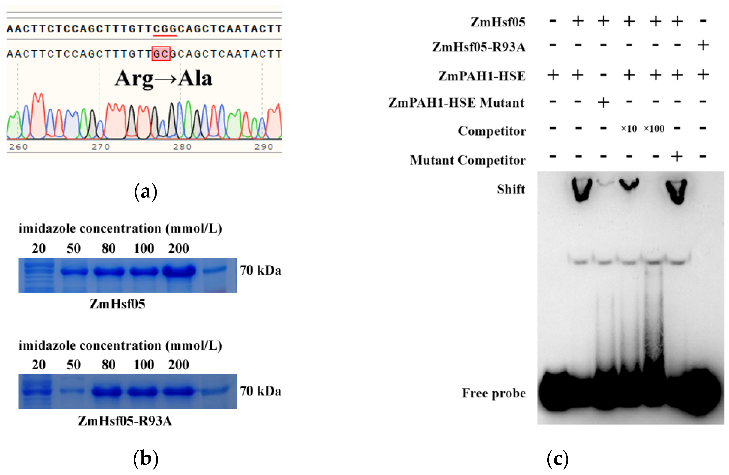 Plants 14 01950 g004
