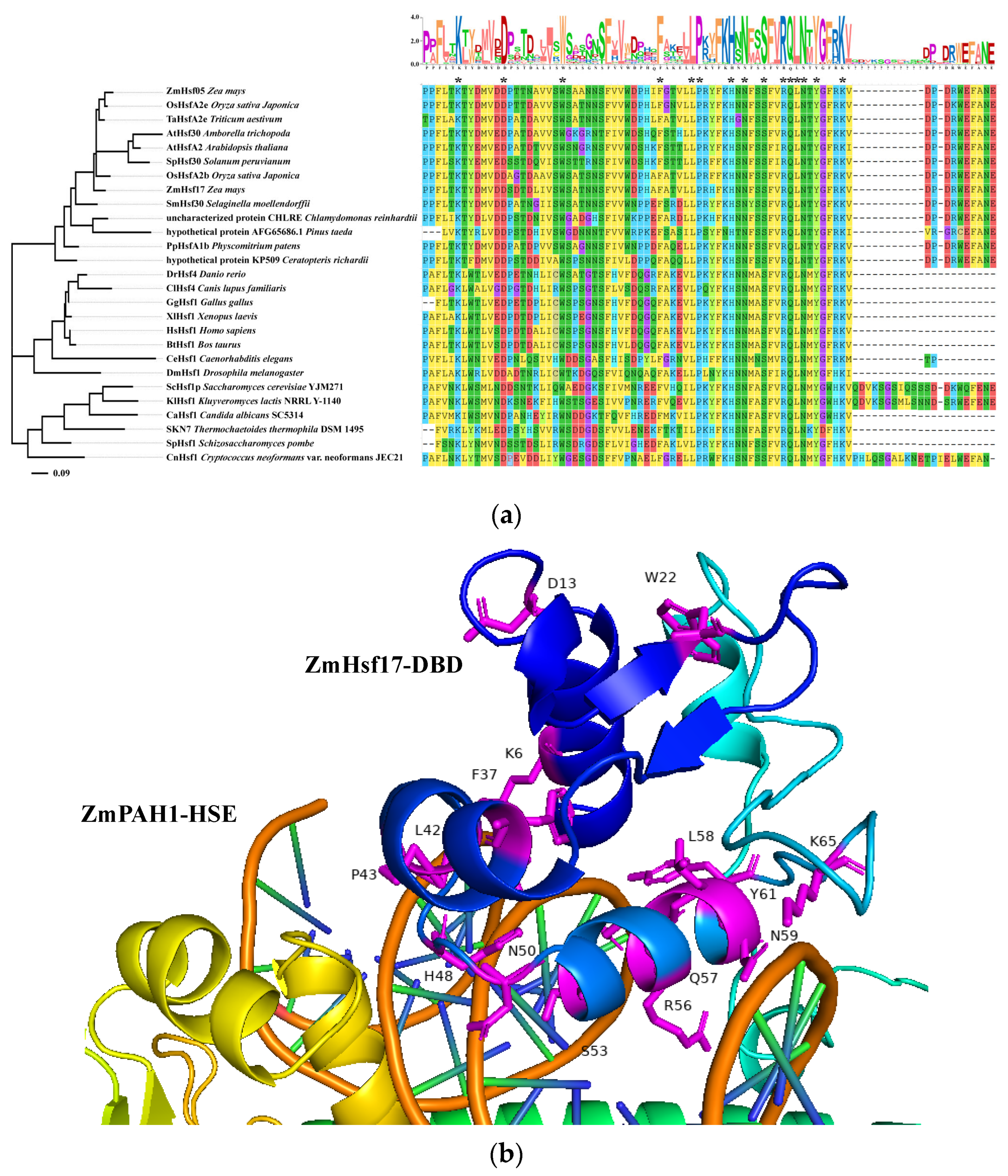 Plants 14 01950 g006