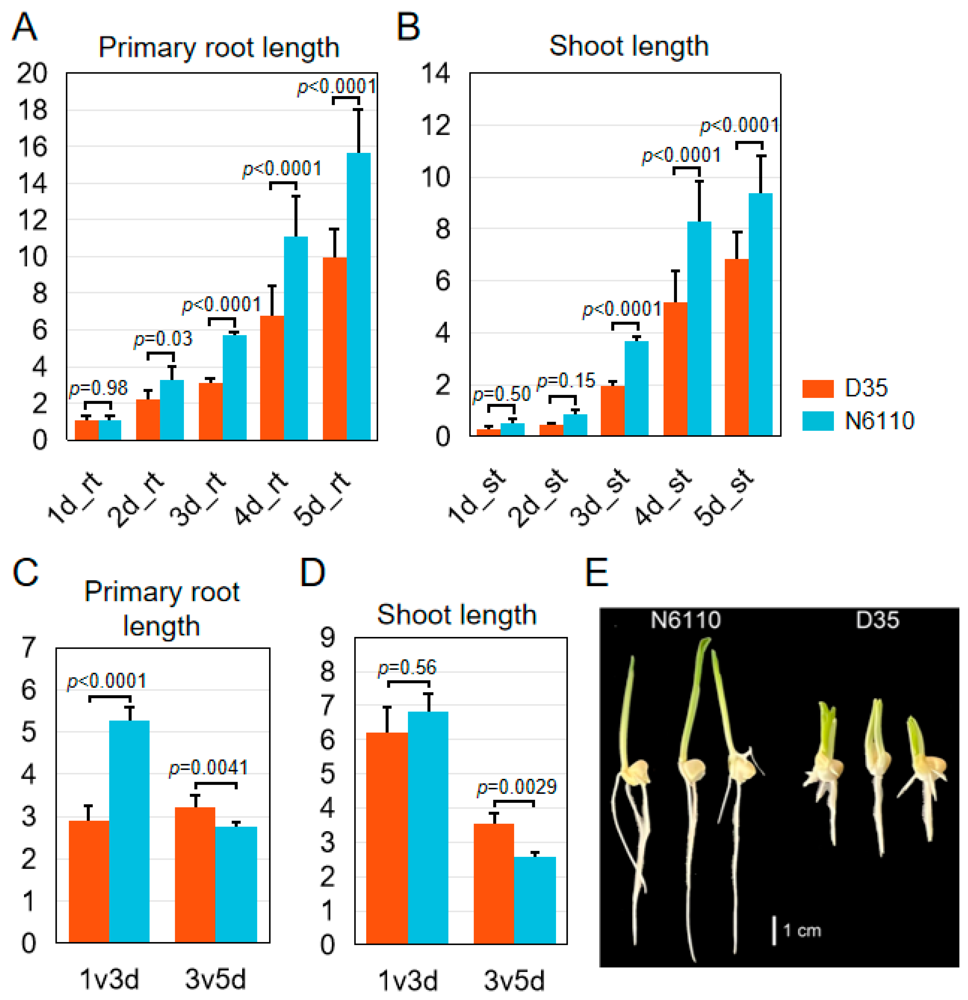 Plants 14 01951 g001