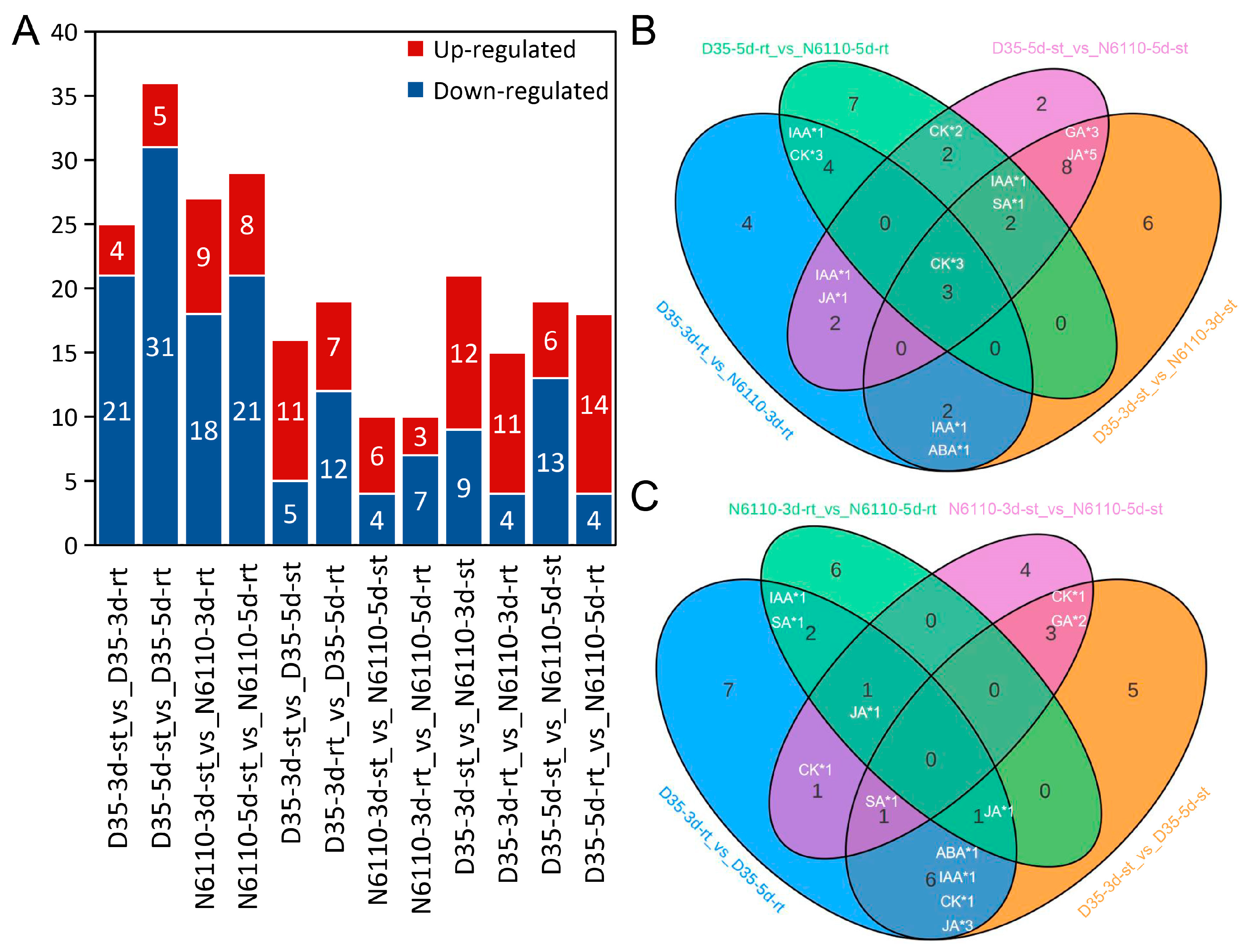 Plants 14 01951 g002