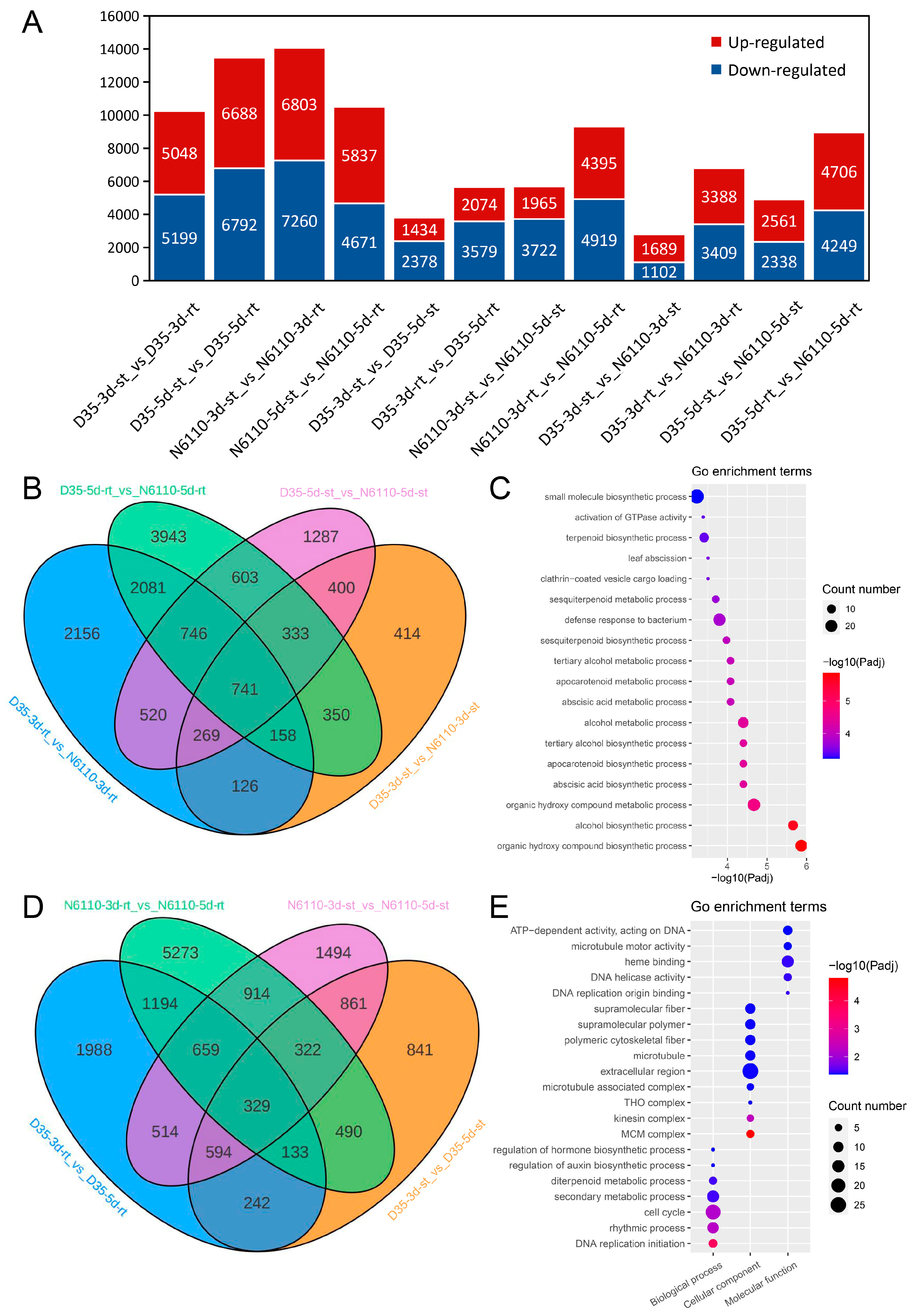 Plants 14 01951 g004