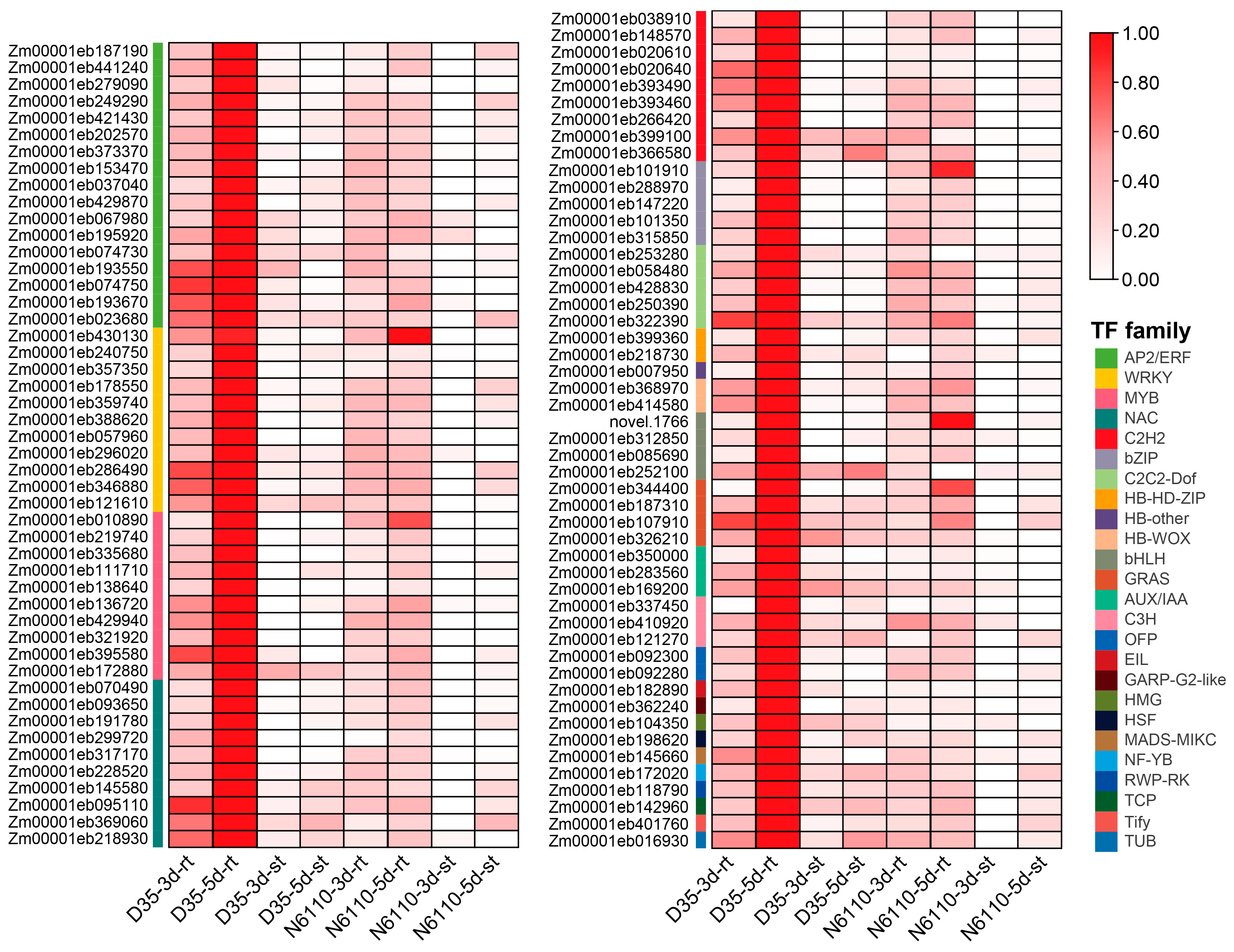 Plants 14 01951 g005