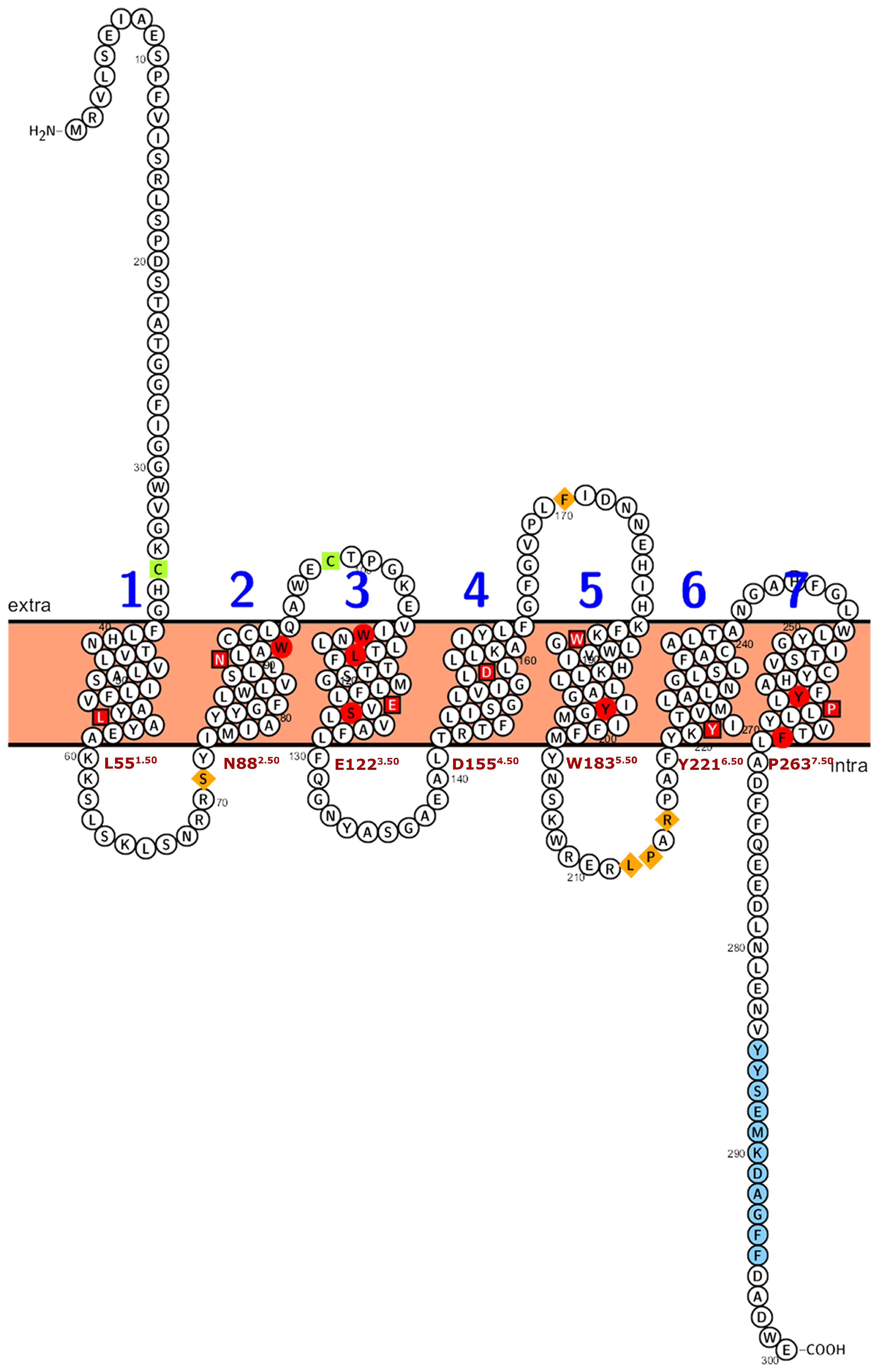 Plants 14 01952 g004