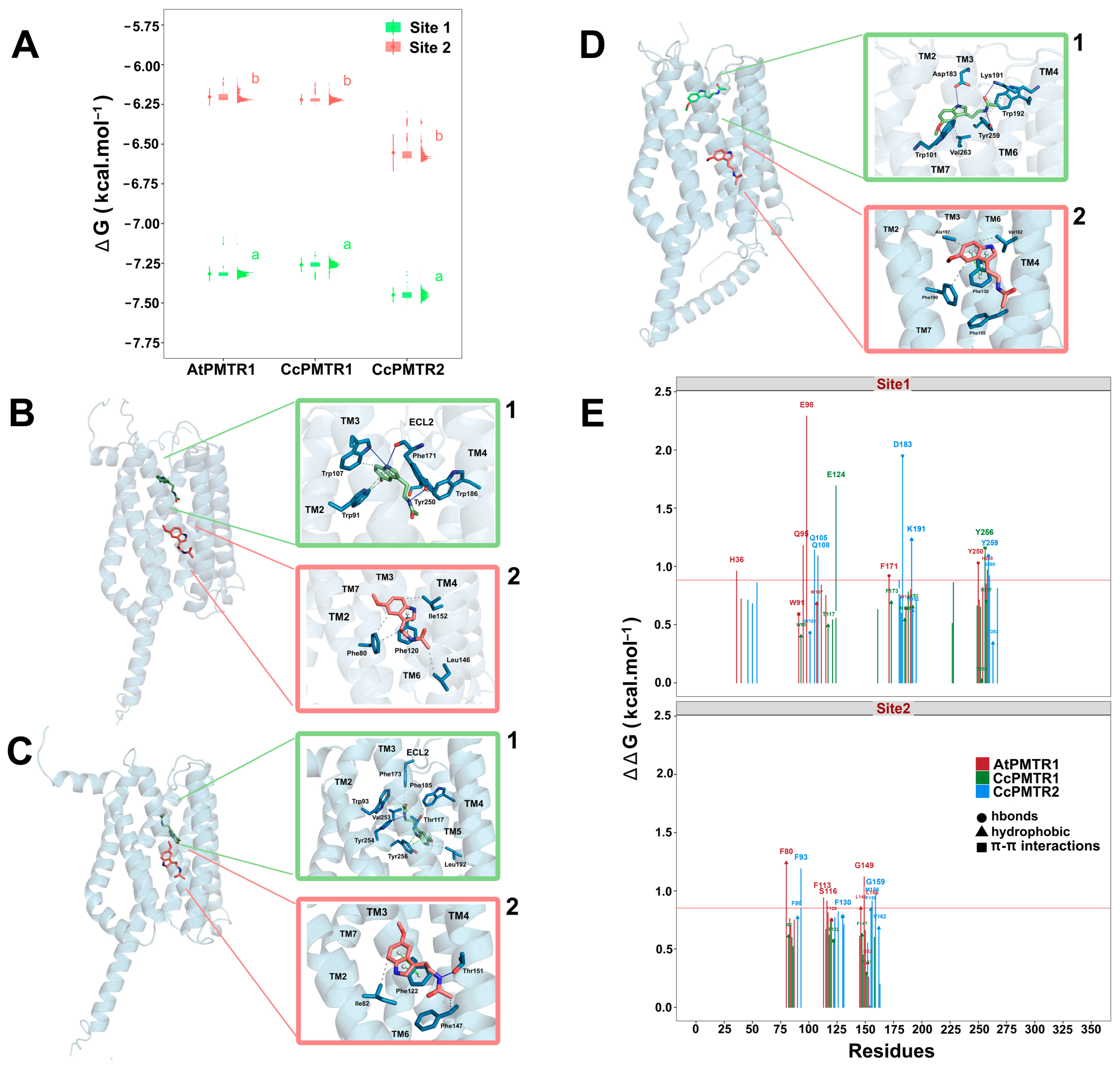 Plants 14 01952 g007