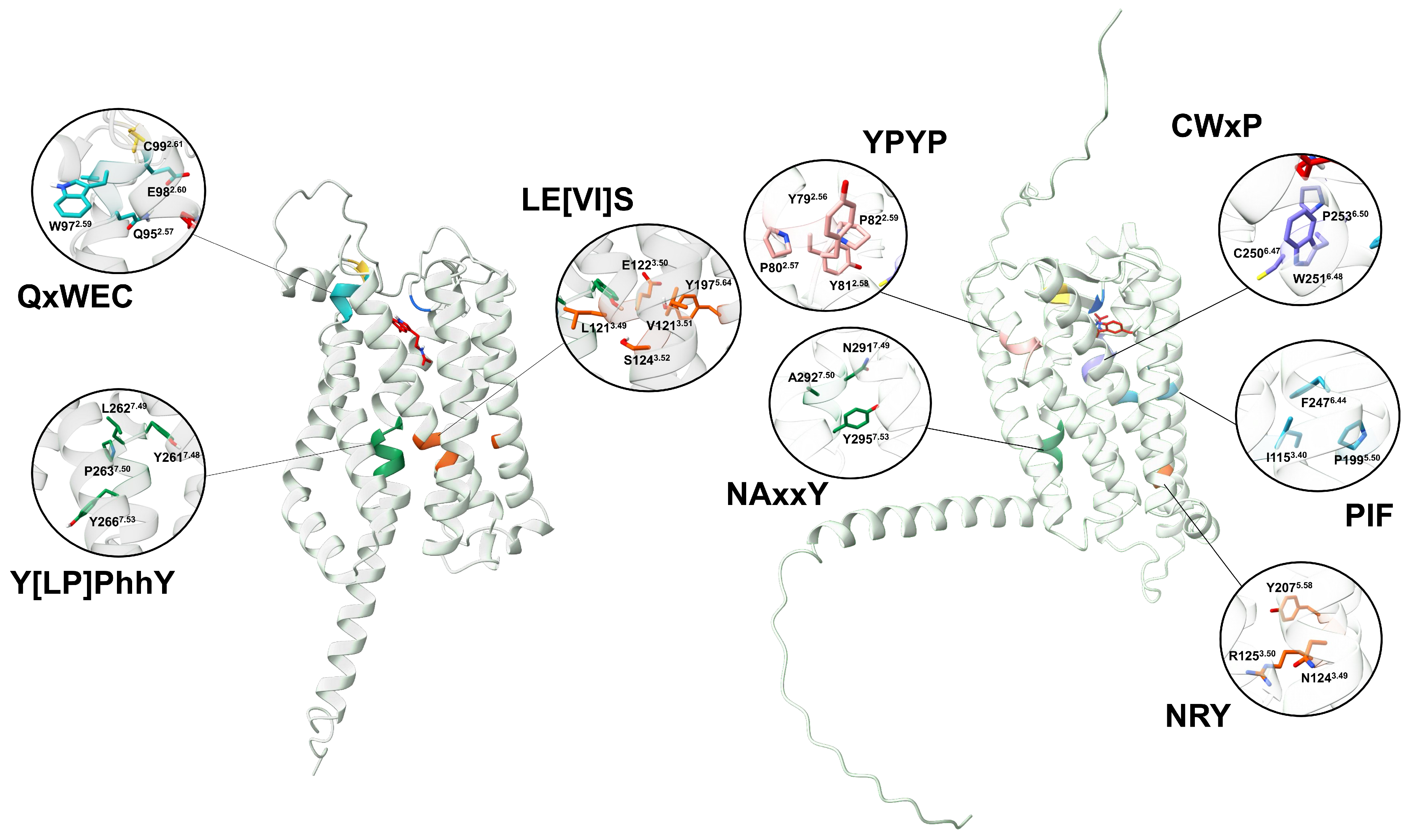 Plants 14 01952 g010