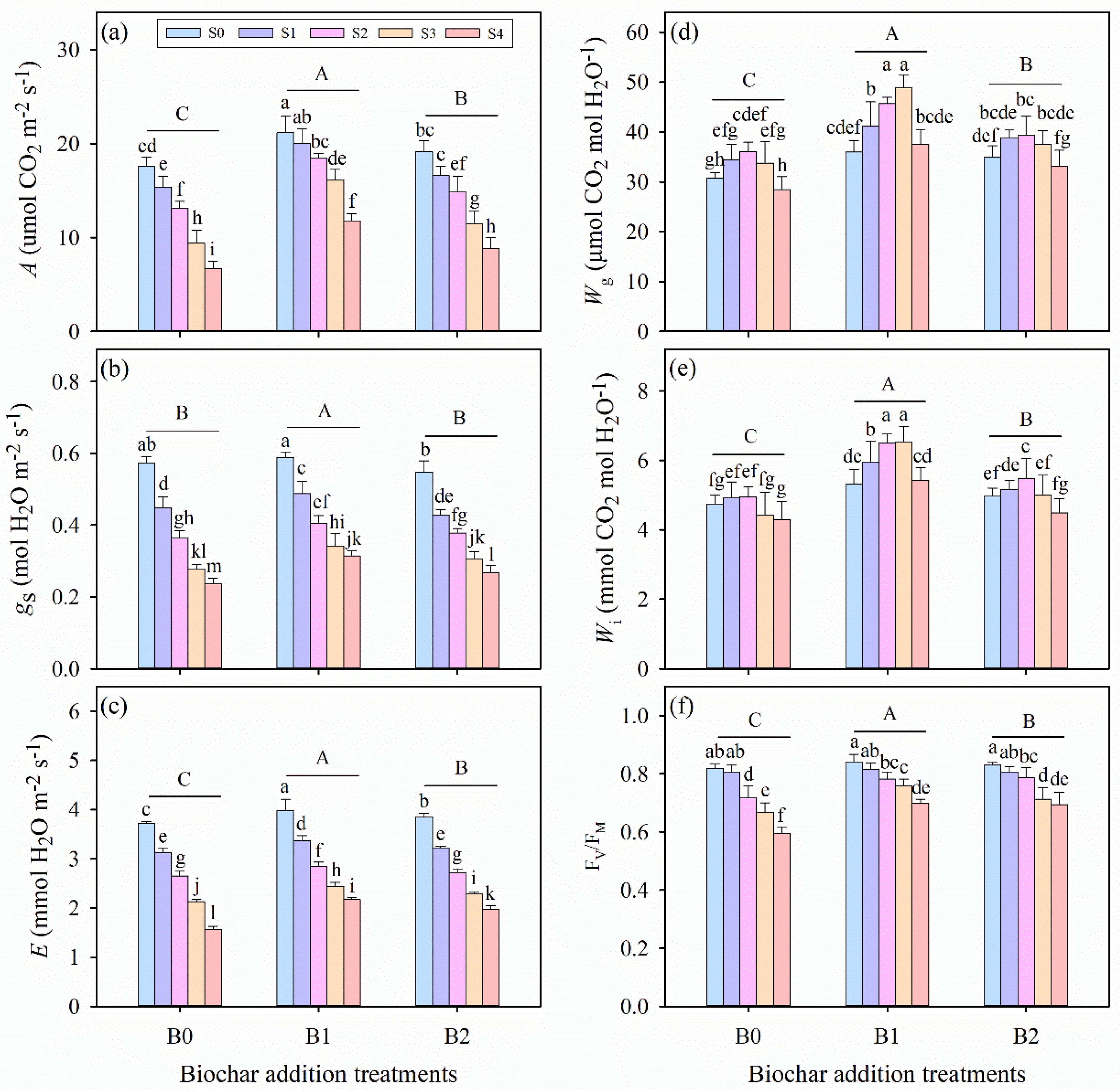 Plants 14 01954 g002