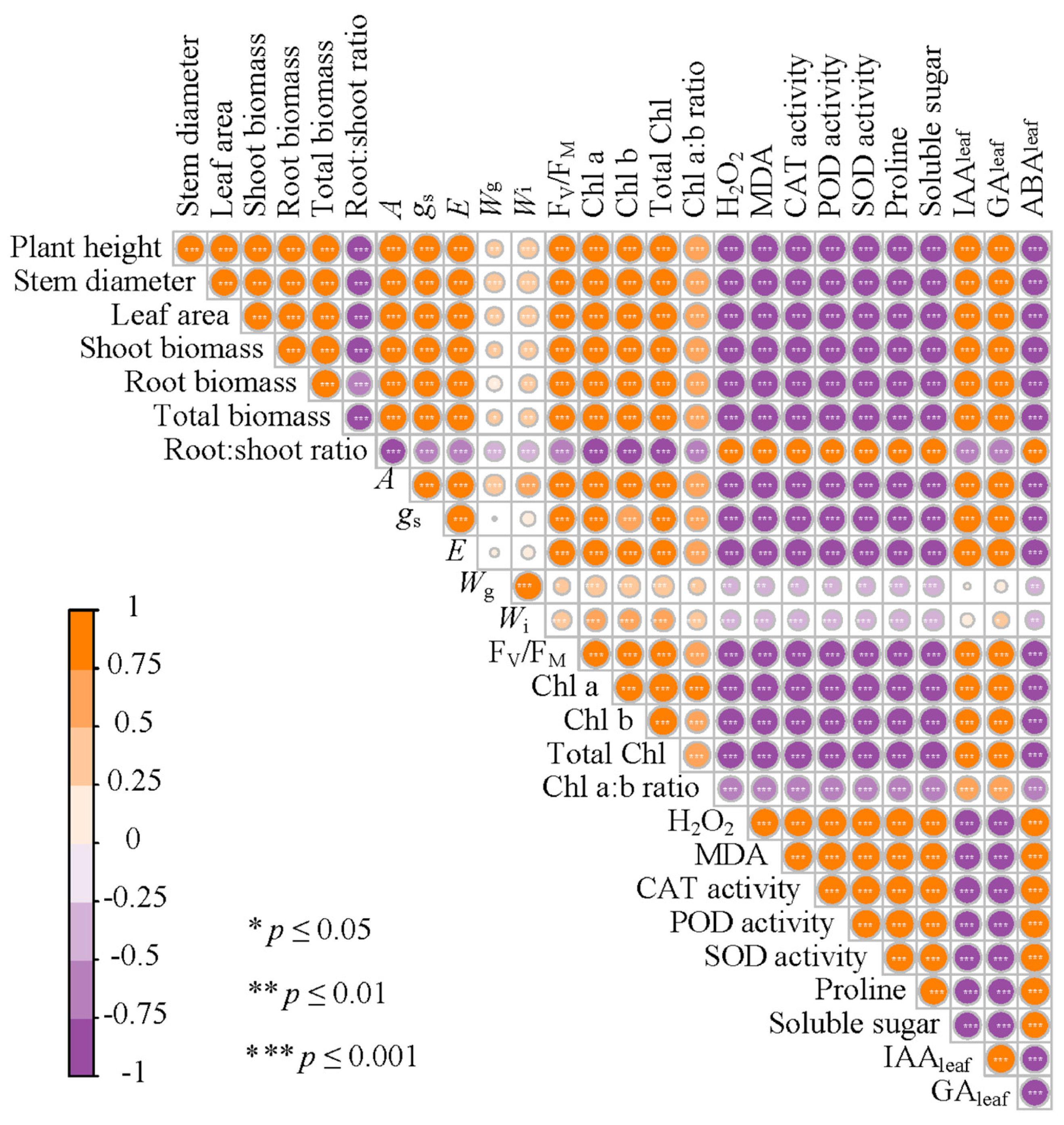 Plants 14 01954 g007