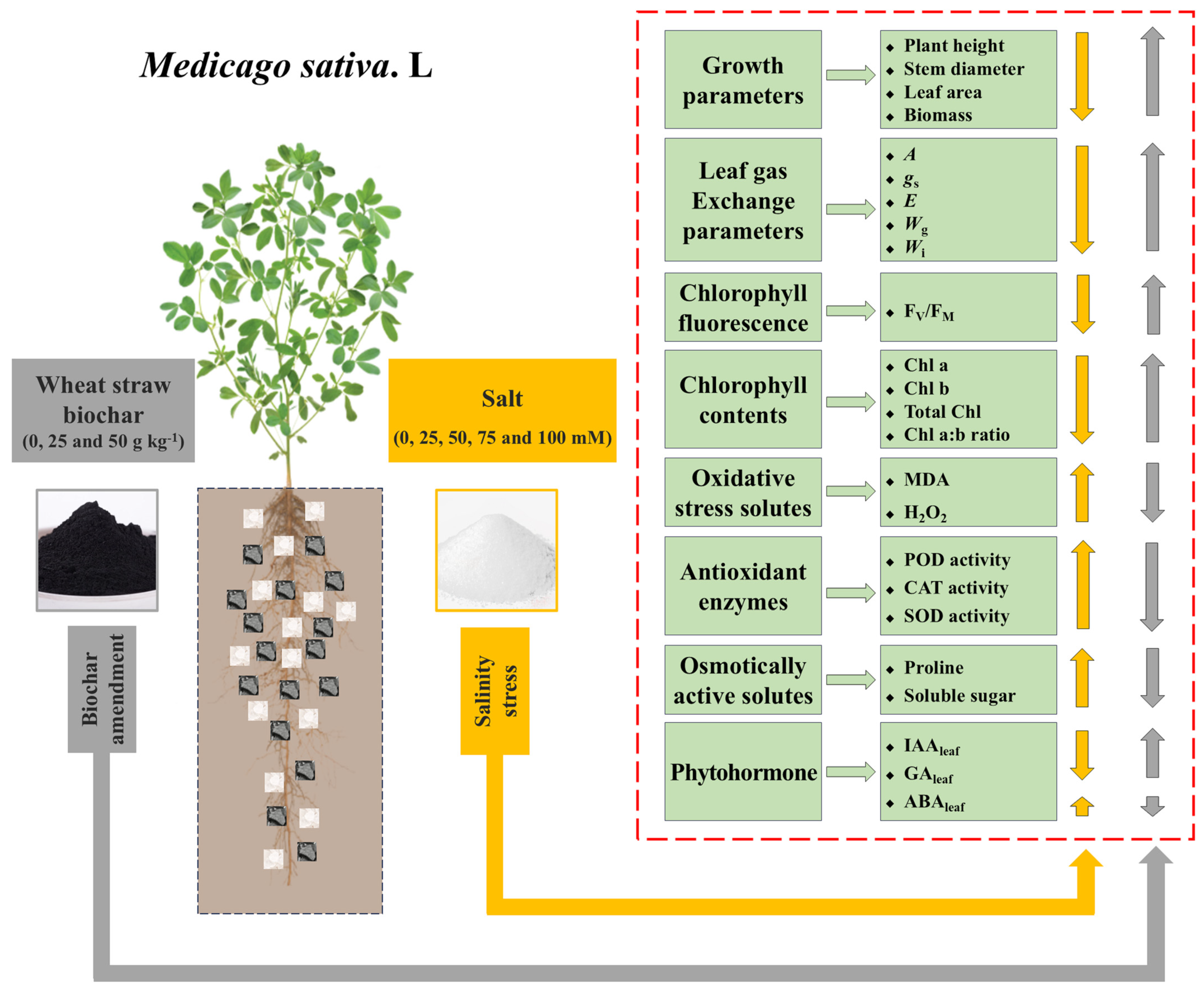 Plants 14 01954 g008