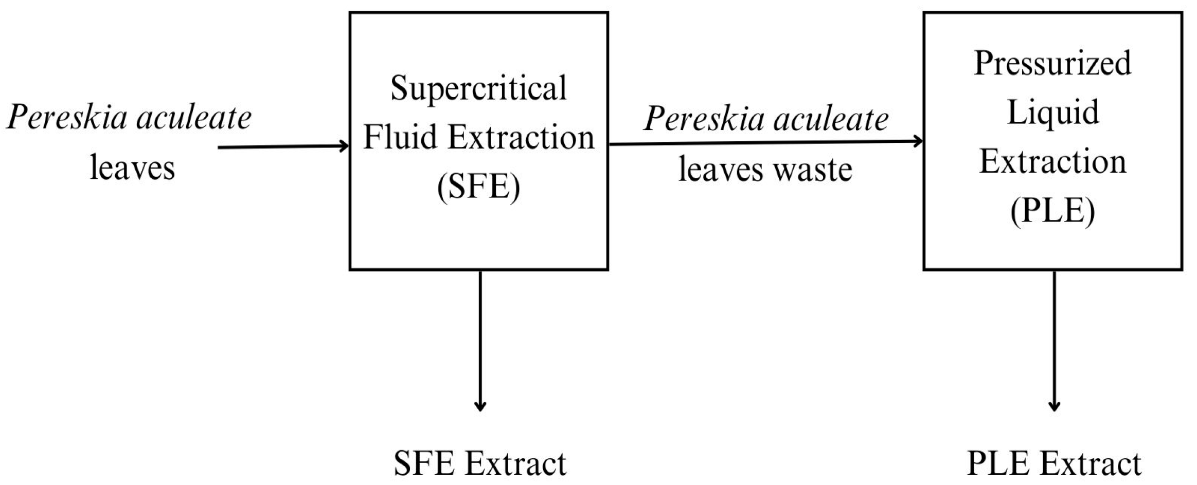 Plants 14 01956 g001