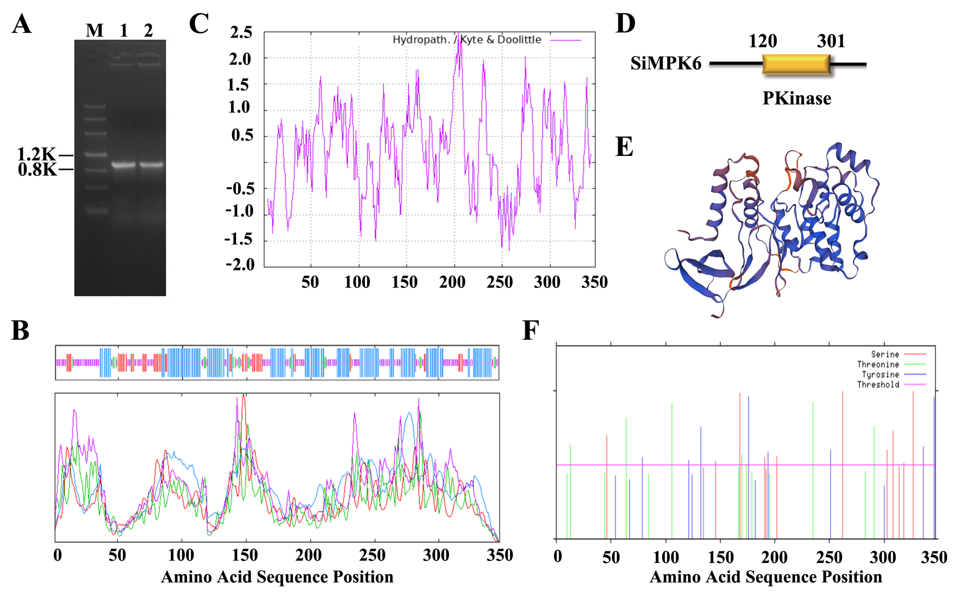 Plants 14 01960 g001