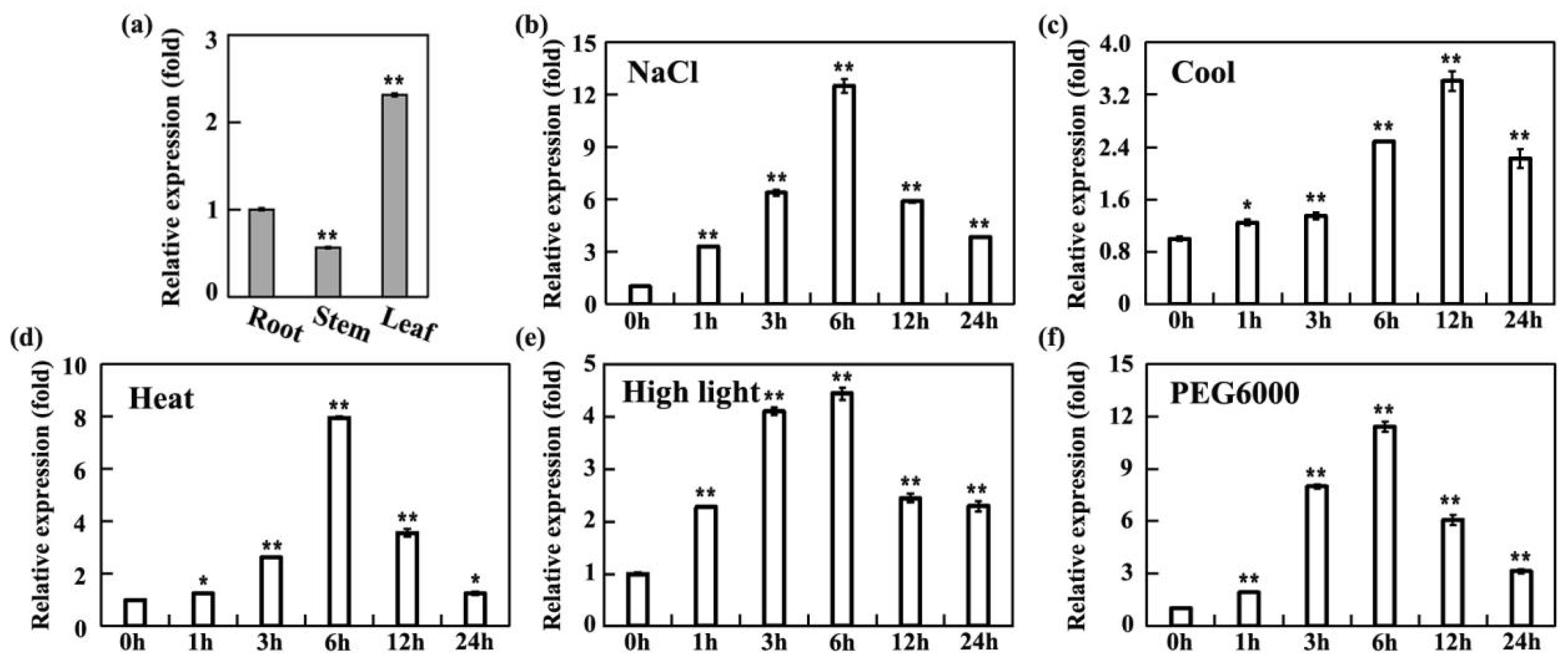 Plants 14 01960 g003