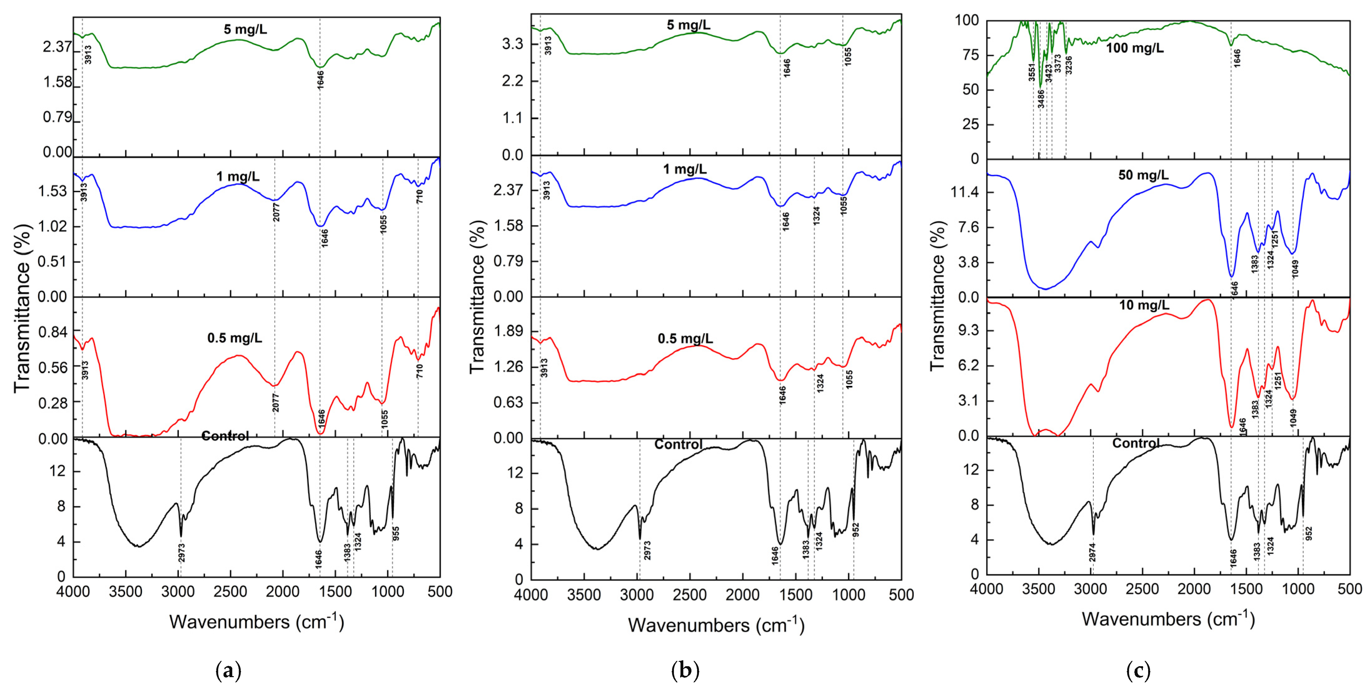 Plants 14 01963 g003