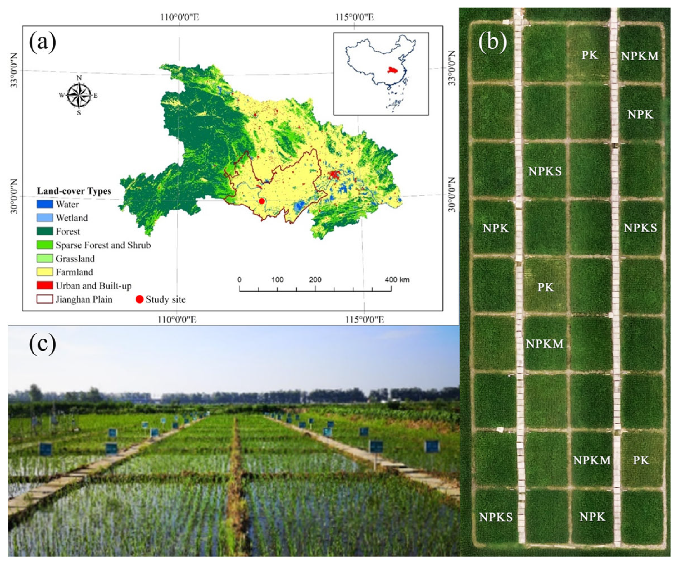 Plants 14 01967 g001