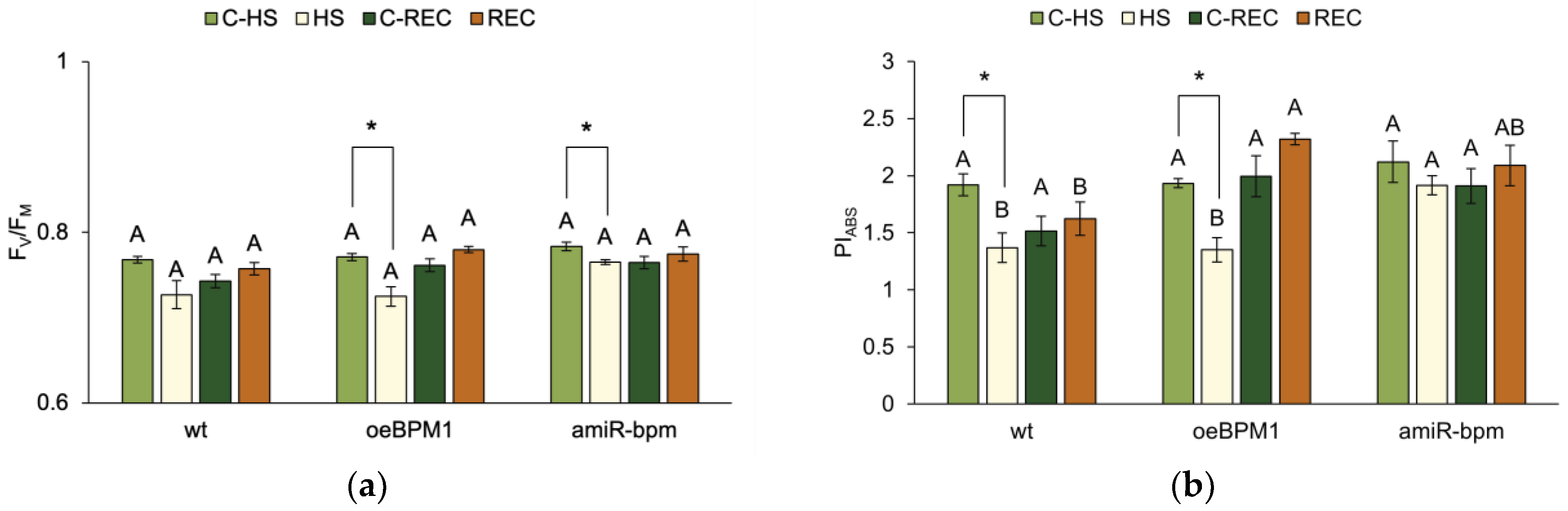 Plants 14 01969 g001
