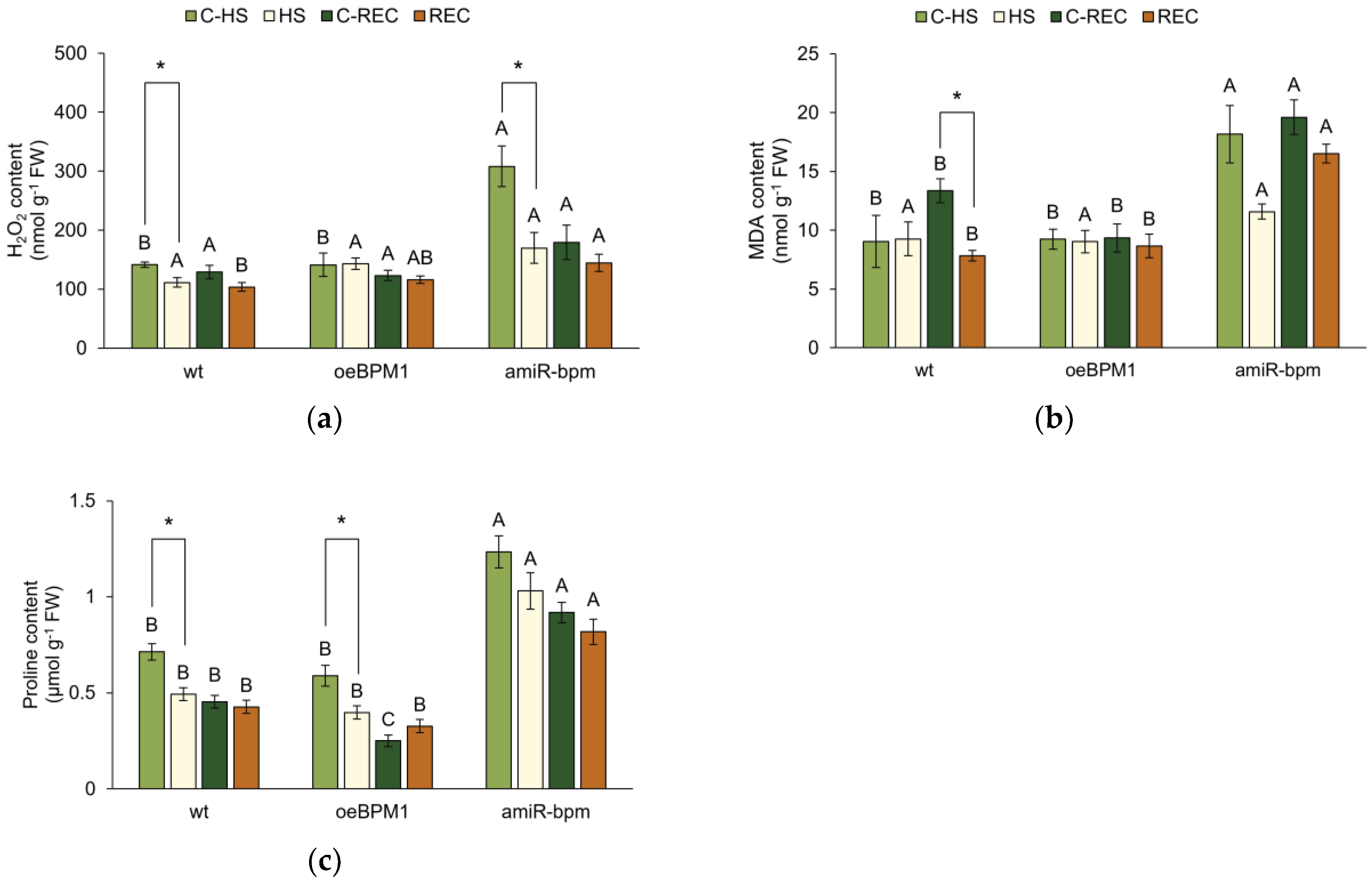 Plants 14 01969 g002