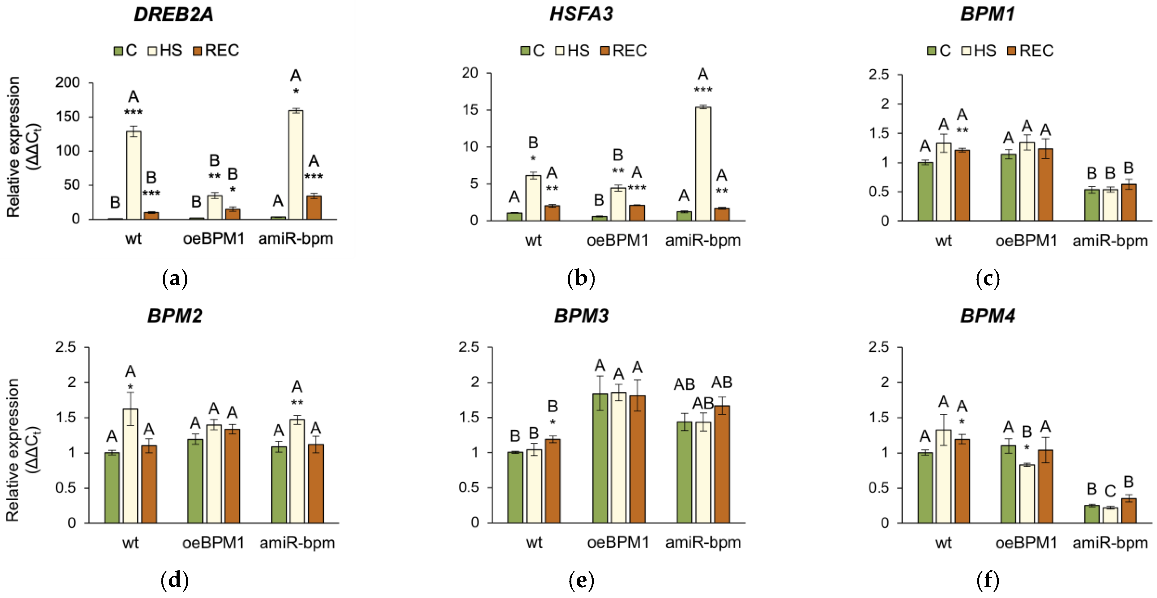 Plants 14 01969 g005a