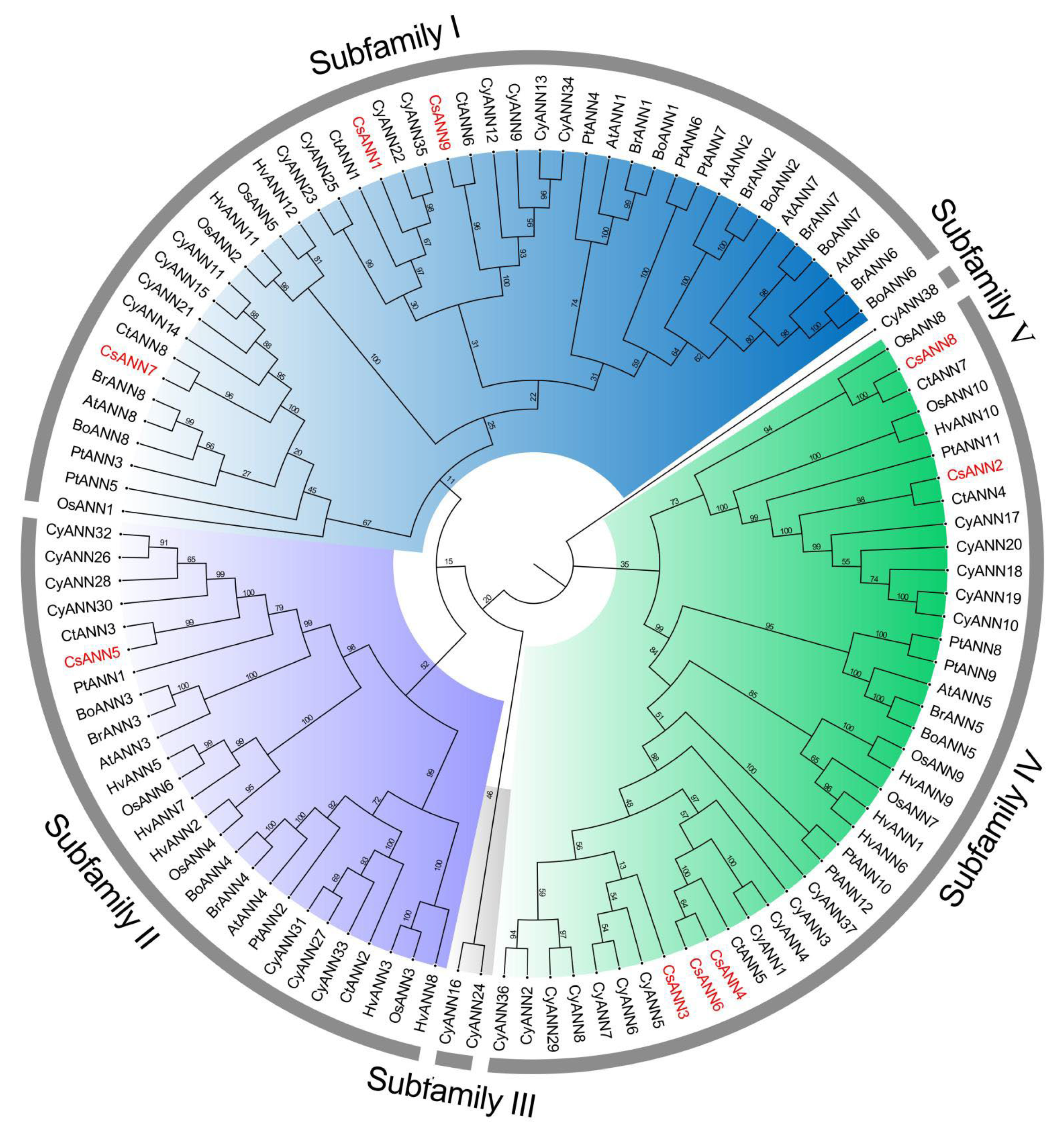 Plants 14 01974 g002