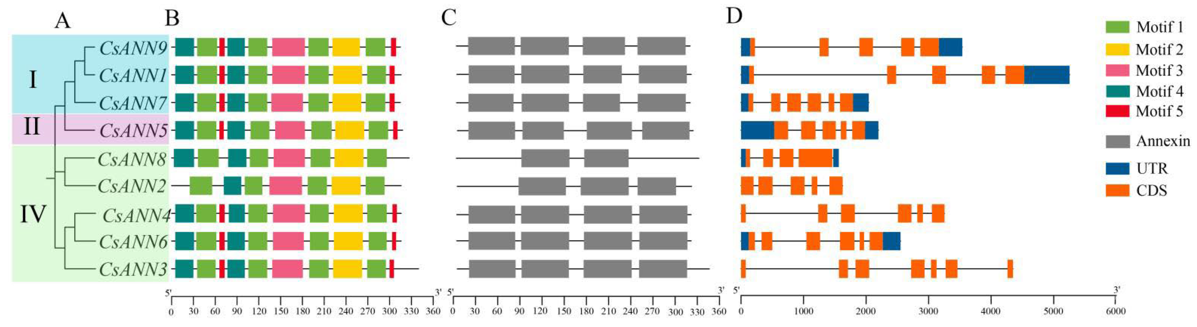Plants 14 01974 g003