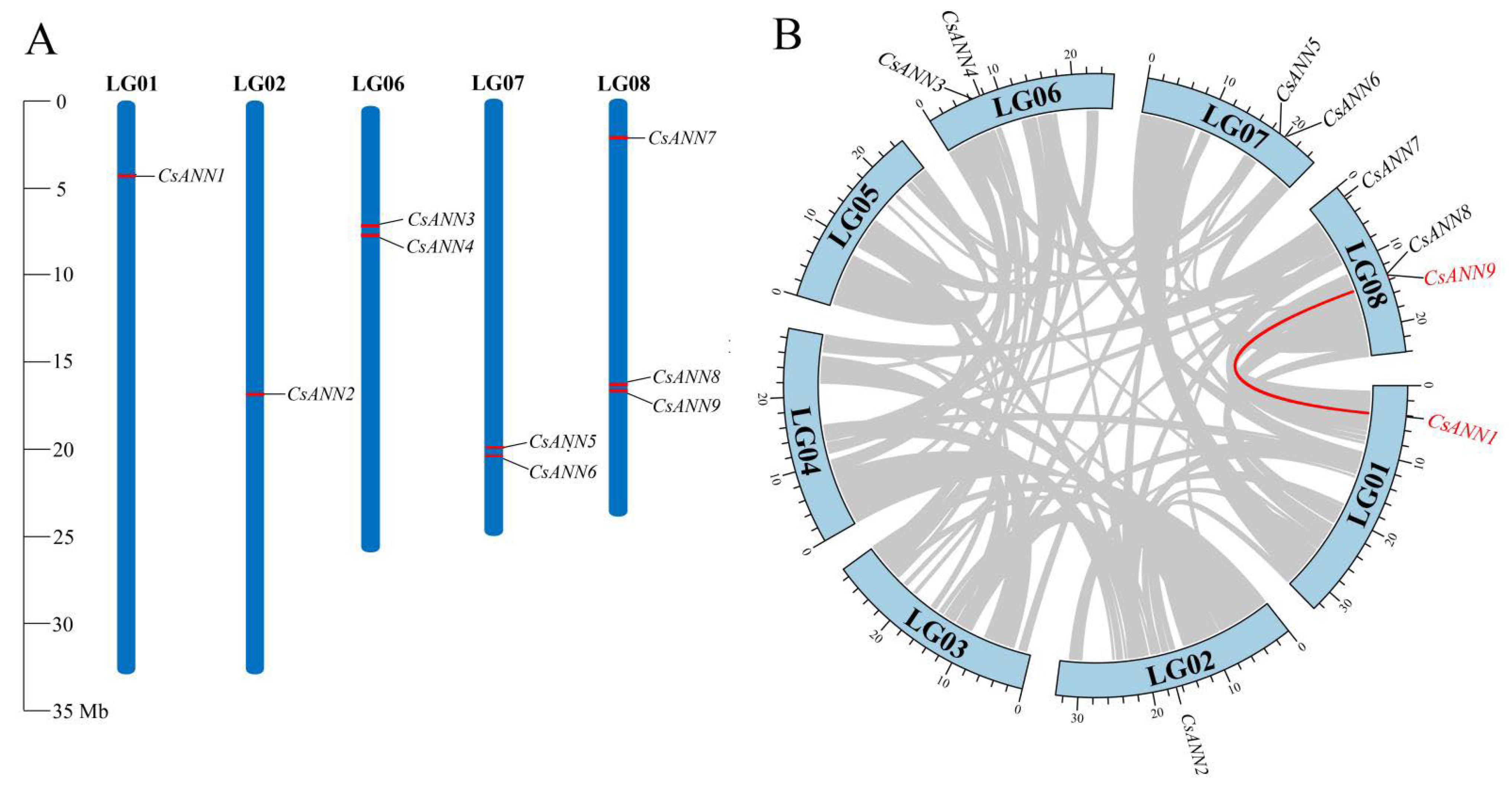 Plants 14 01974 g004