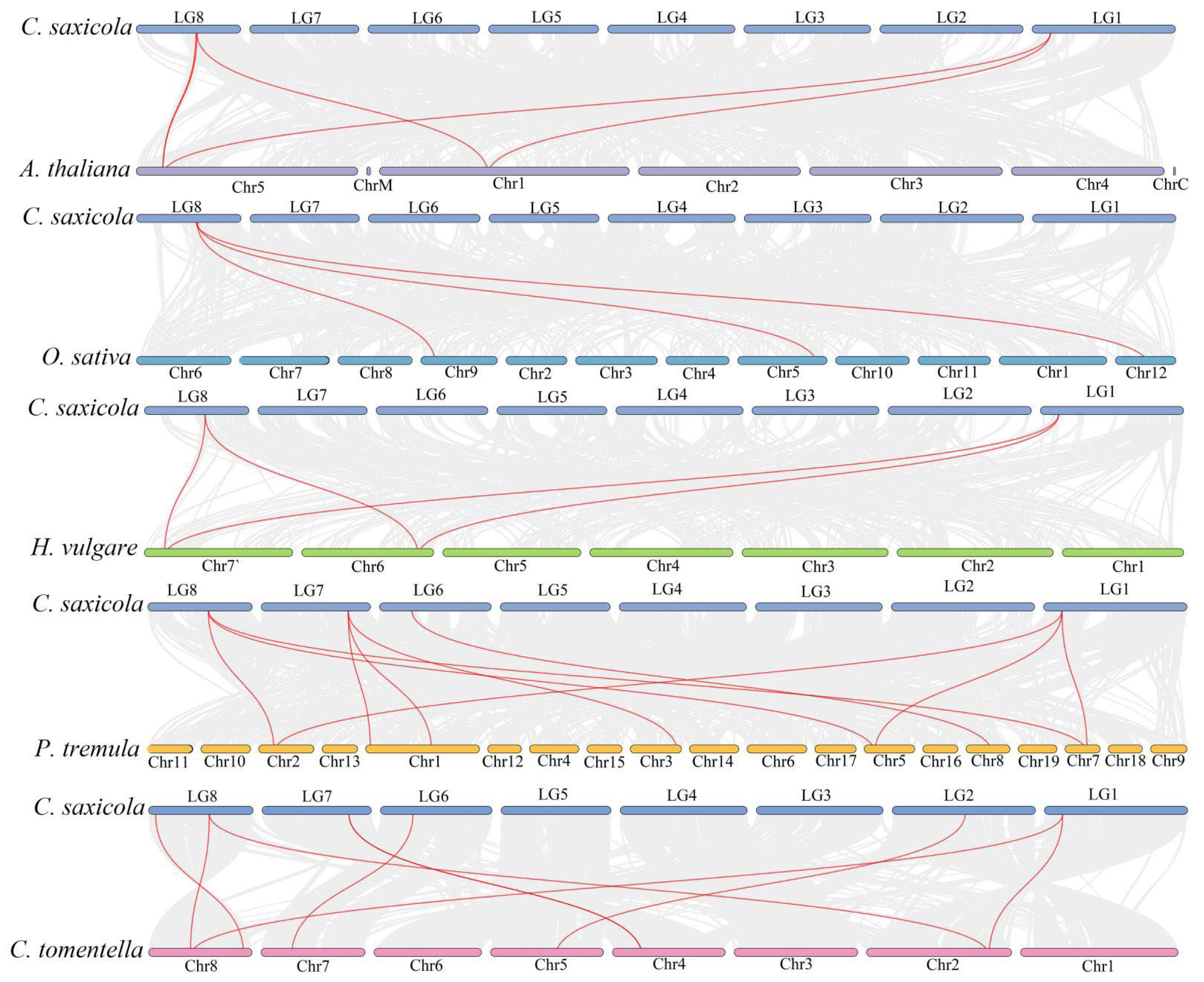 Plants 14 01974 g005