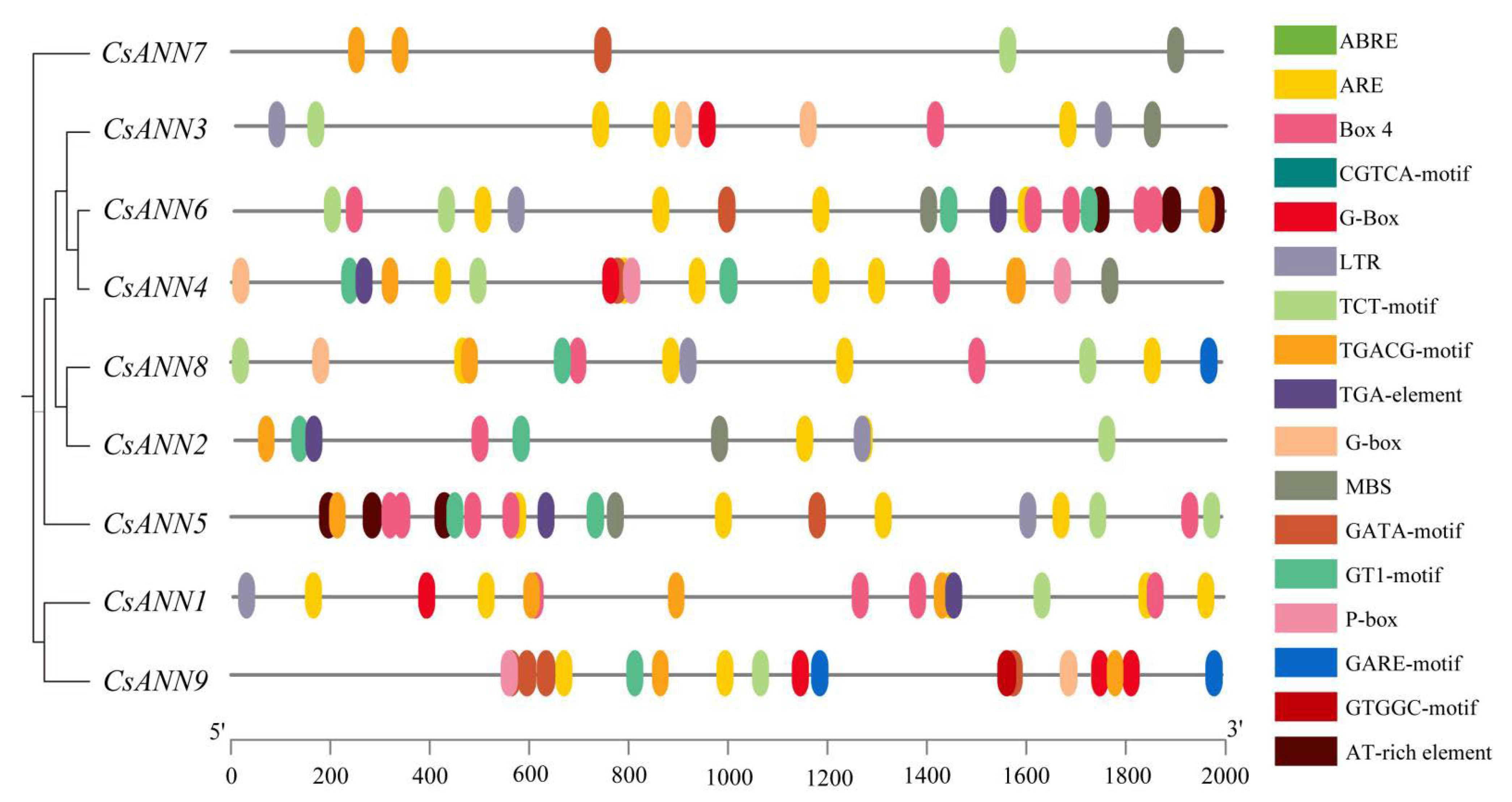 Plants 14 01974 g006