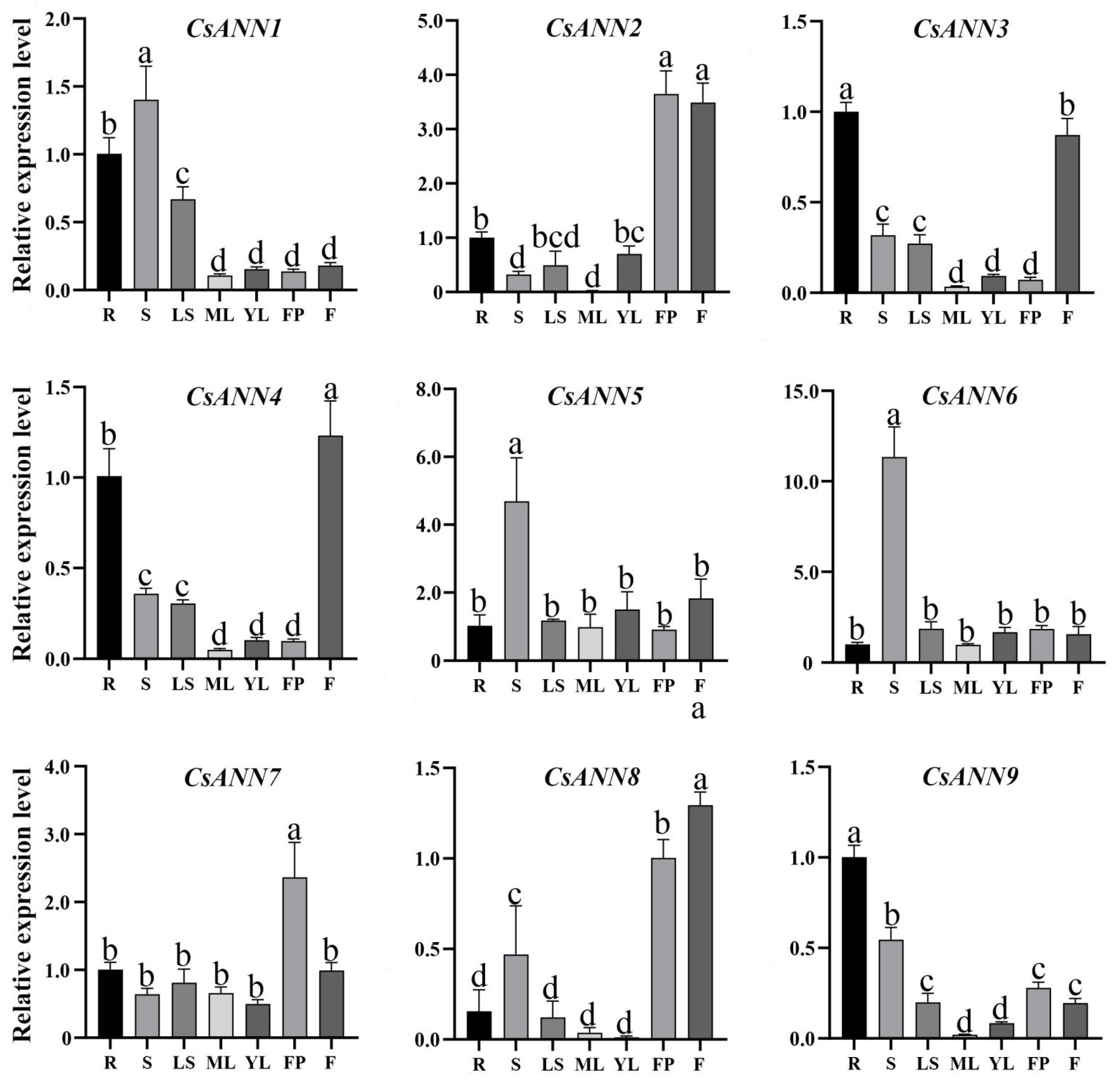 Plants 14 01974 g007