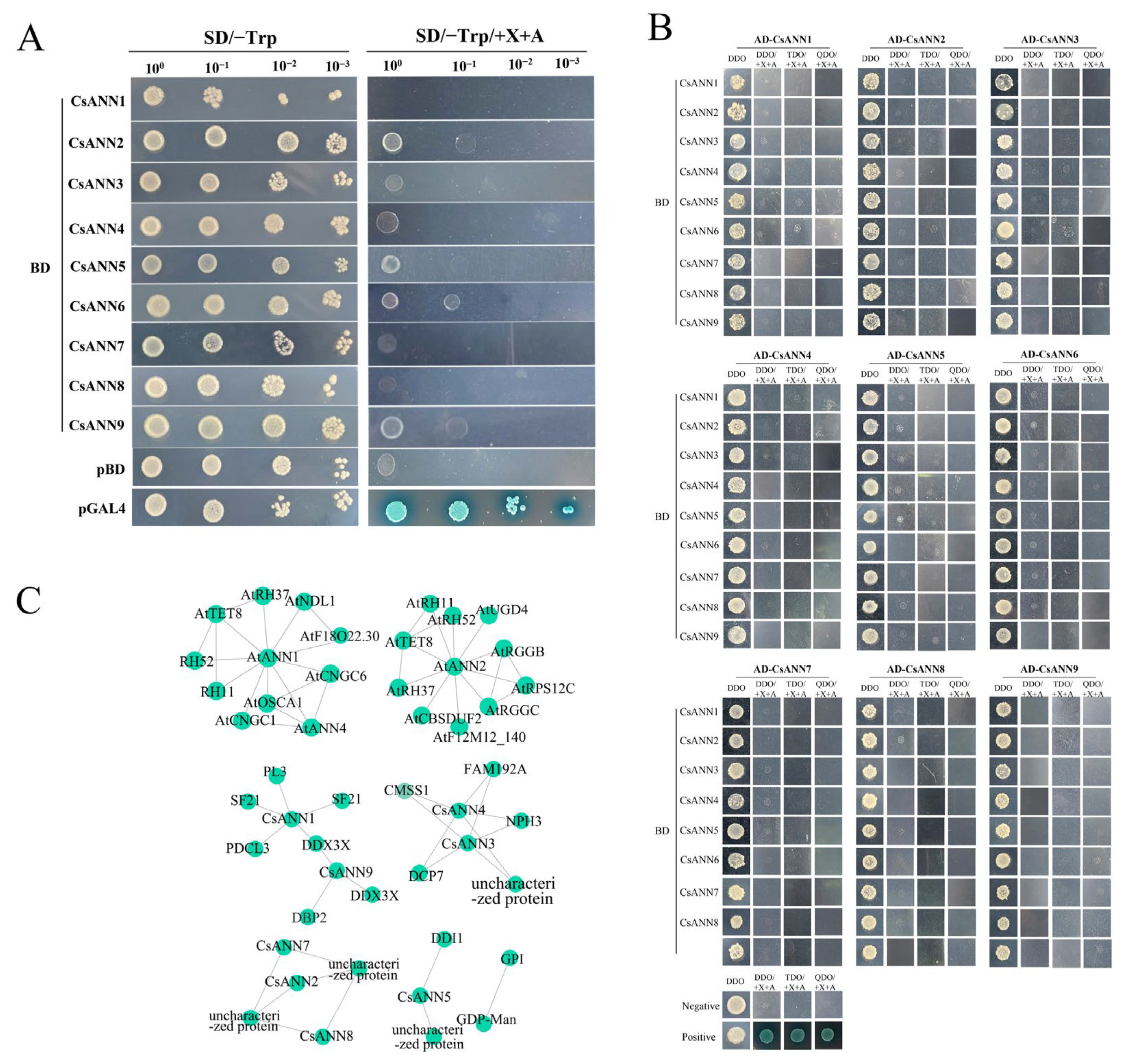 Plants 14 01974 g010
