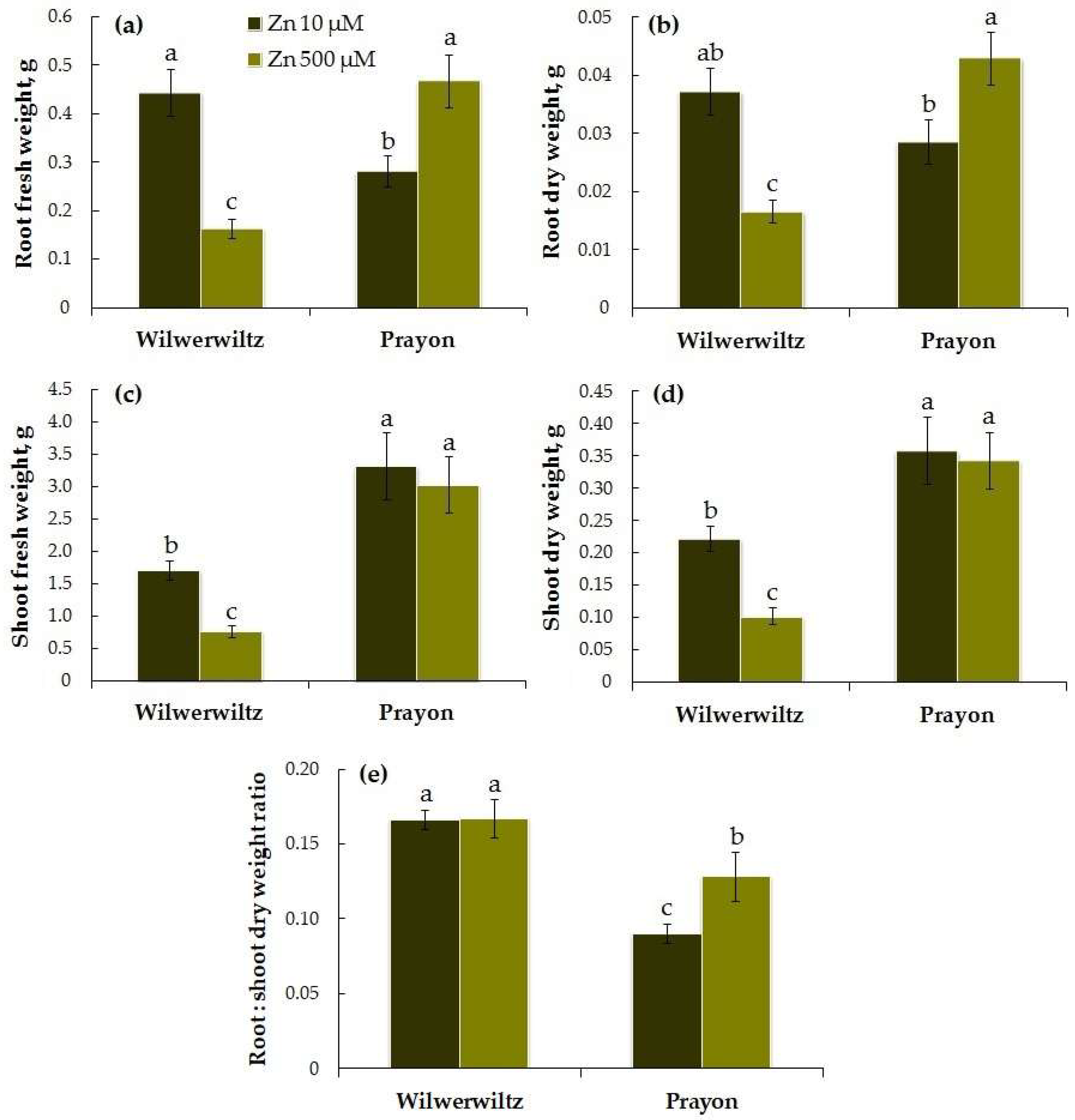 Plants 14 01975 g001