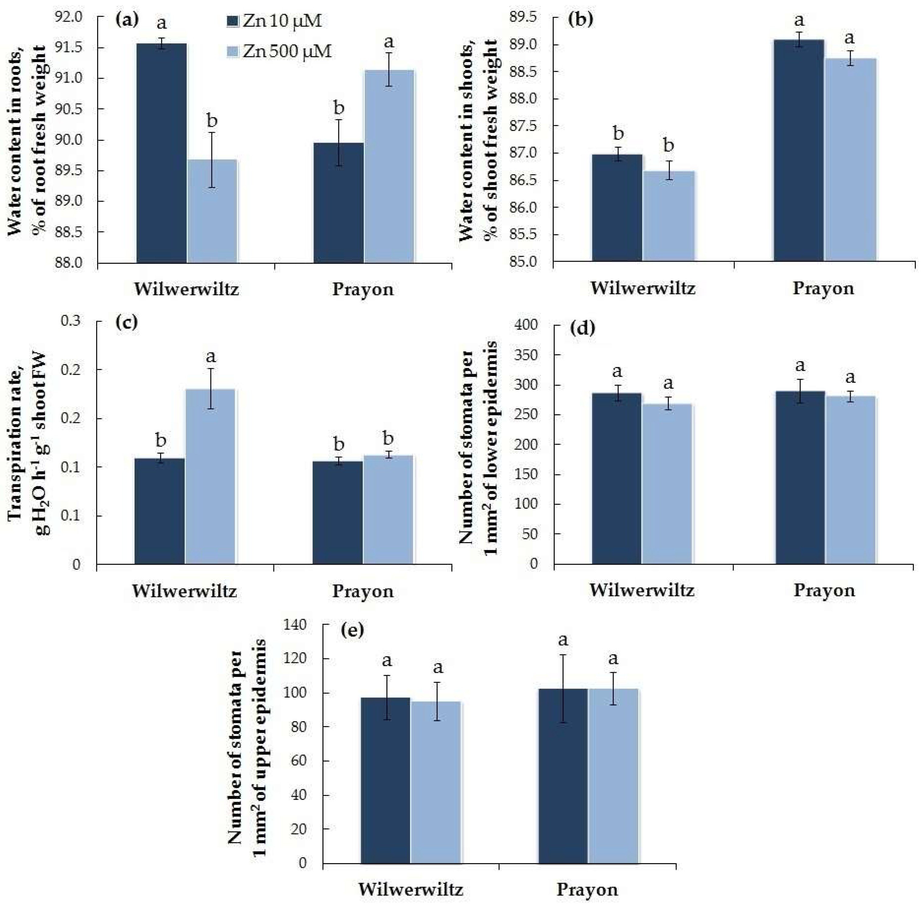 Plants 14 01975 g002