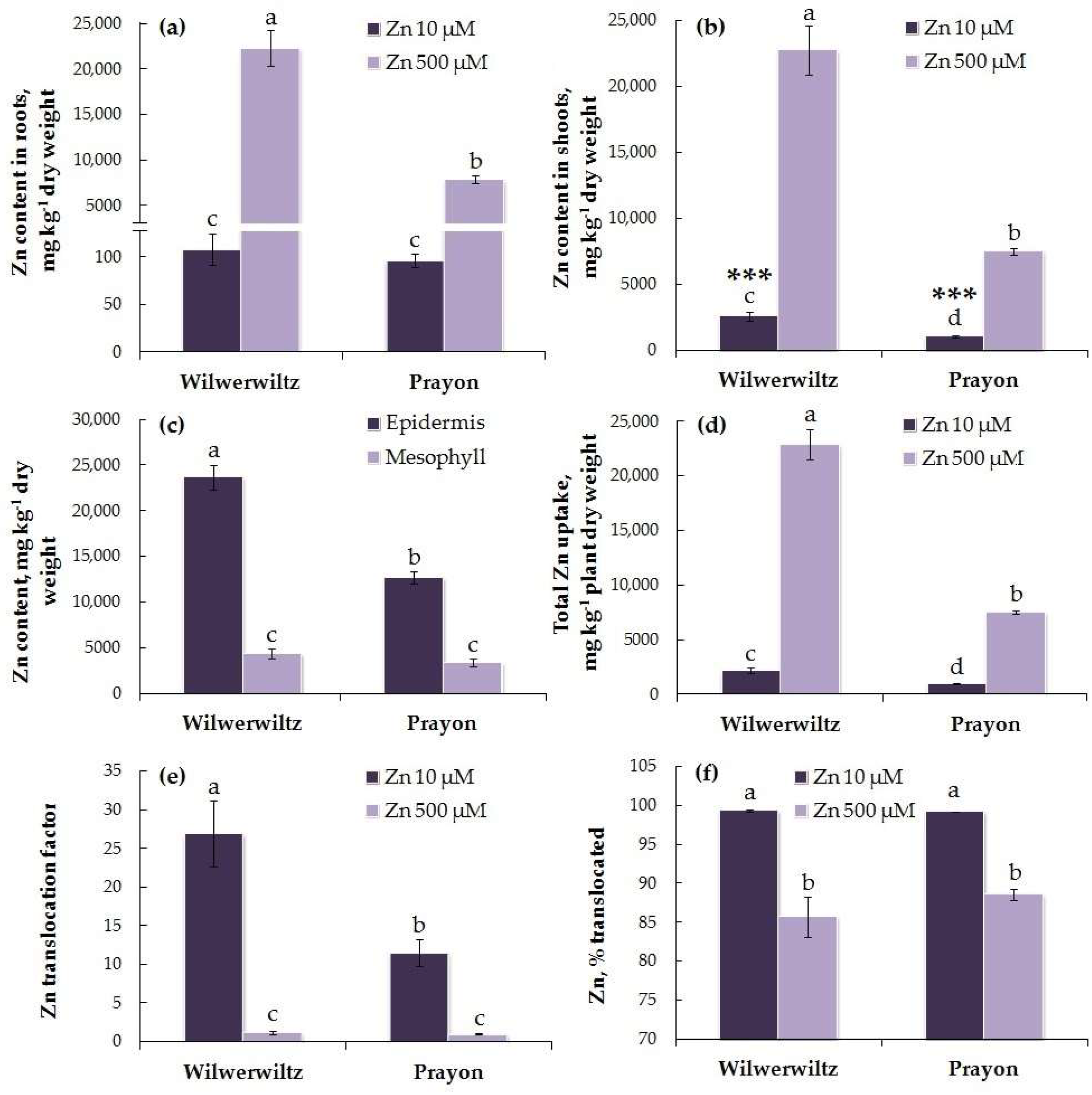 Plants 14 01975 g004