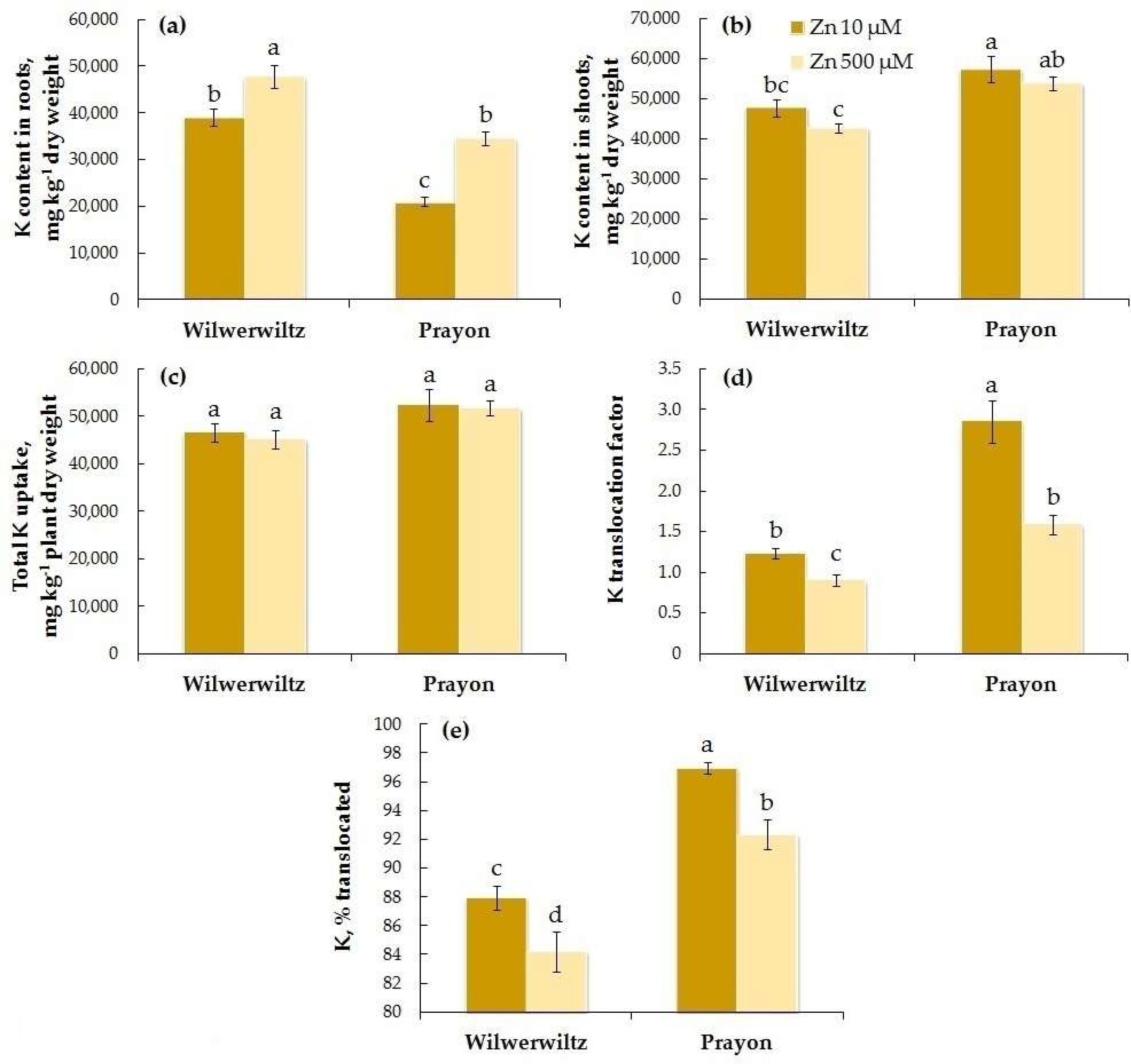 Plants 14 01975 g011