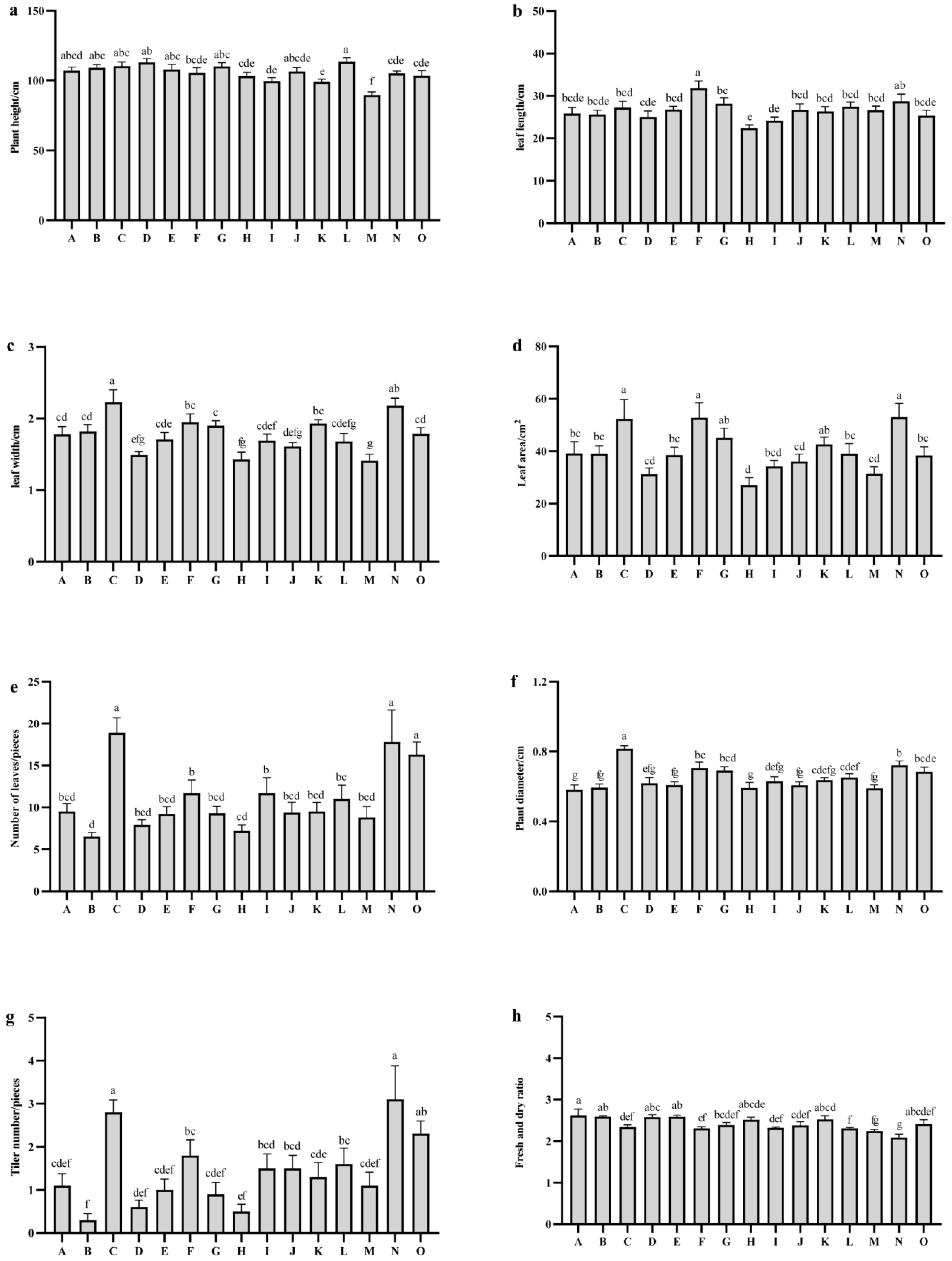 Plants 14 01978 g002 Plants 14 01978 g002