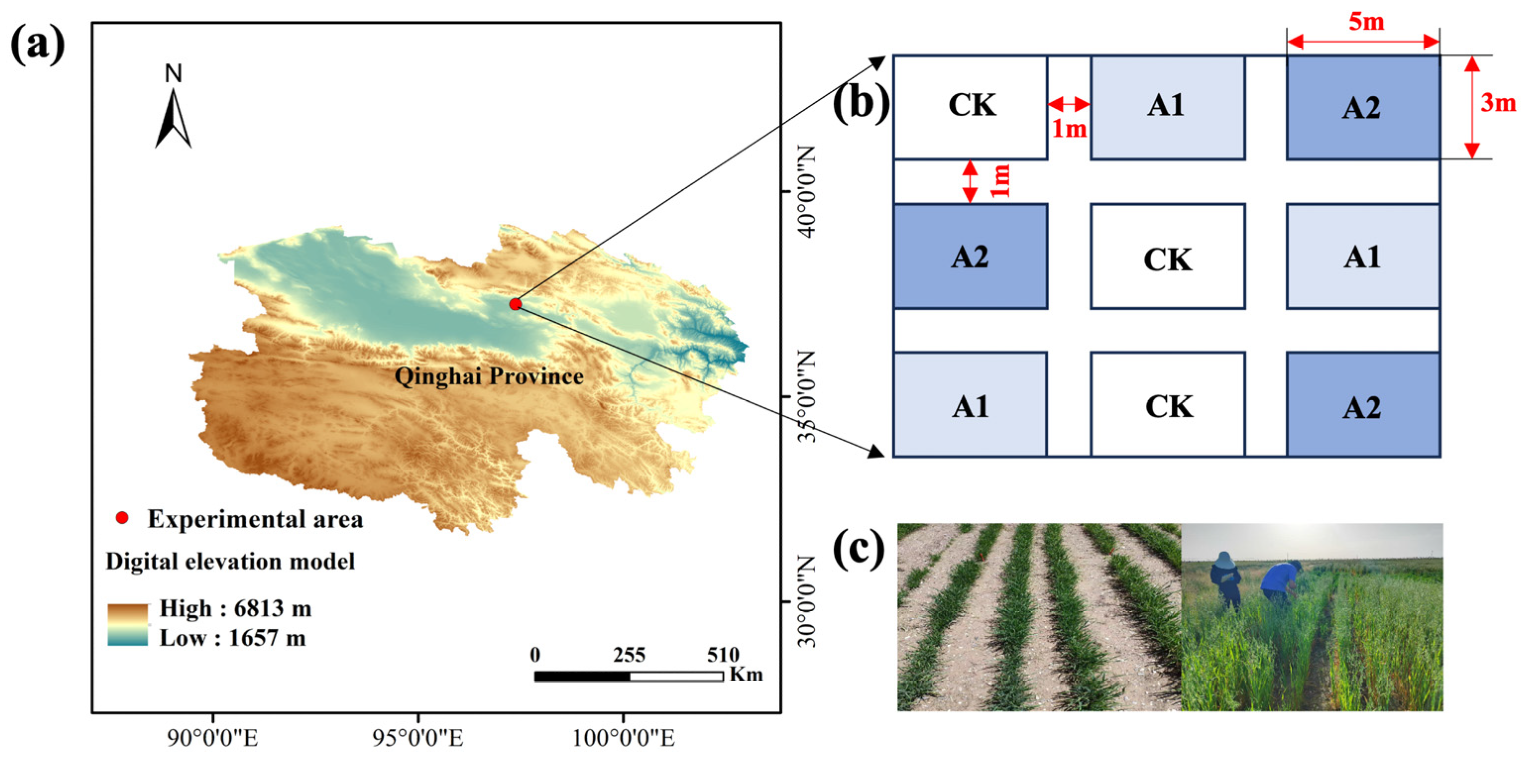 Plants 14 01982 g001 Plants 14 01982 g001