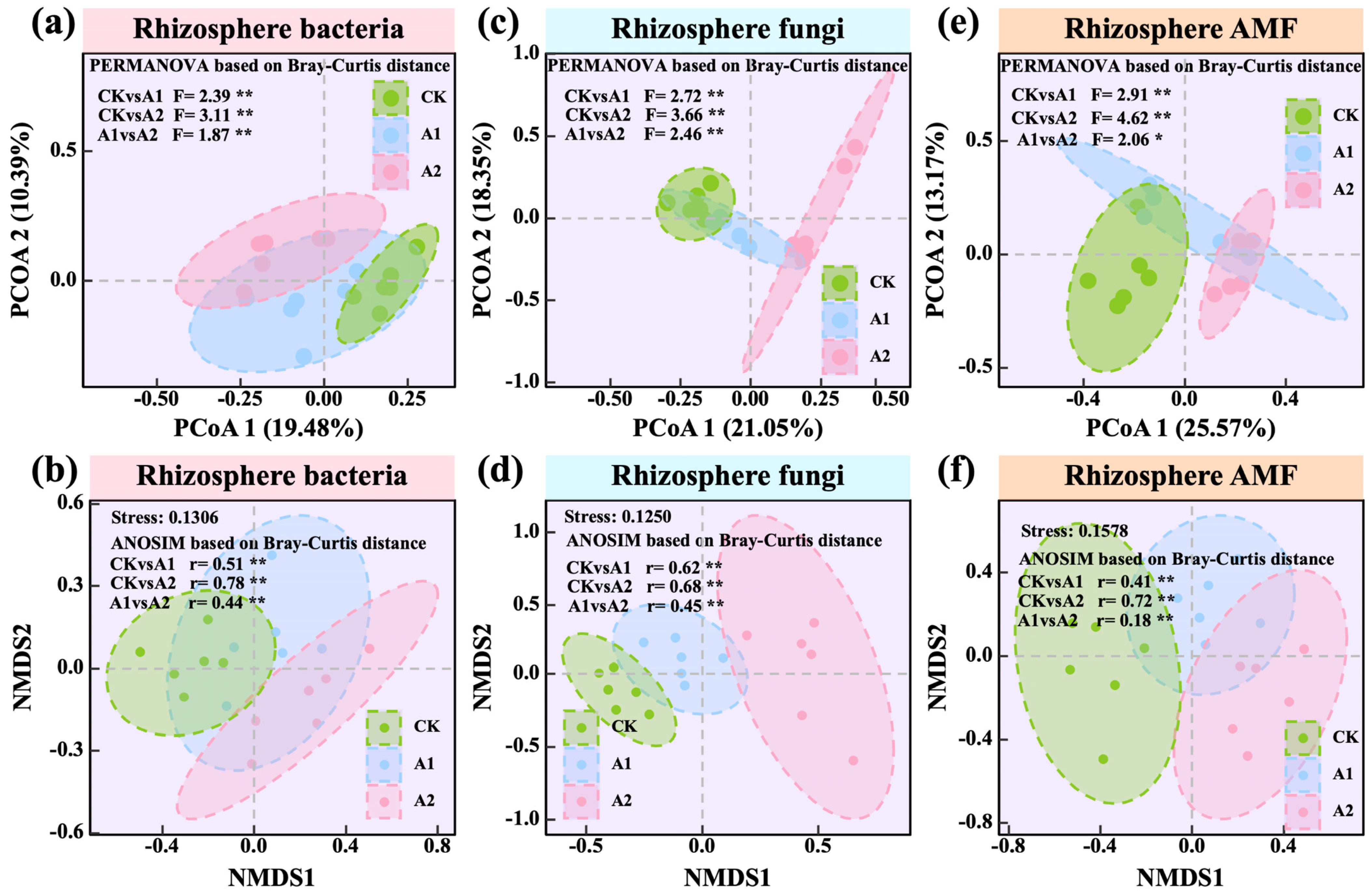 Plants 14 01982 g006 Plants 14 01982 g006