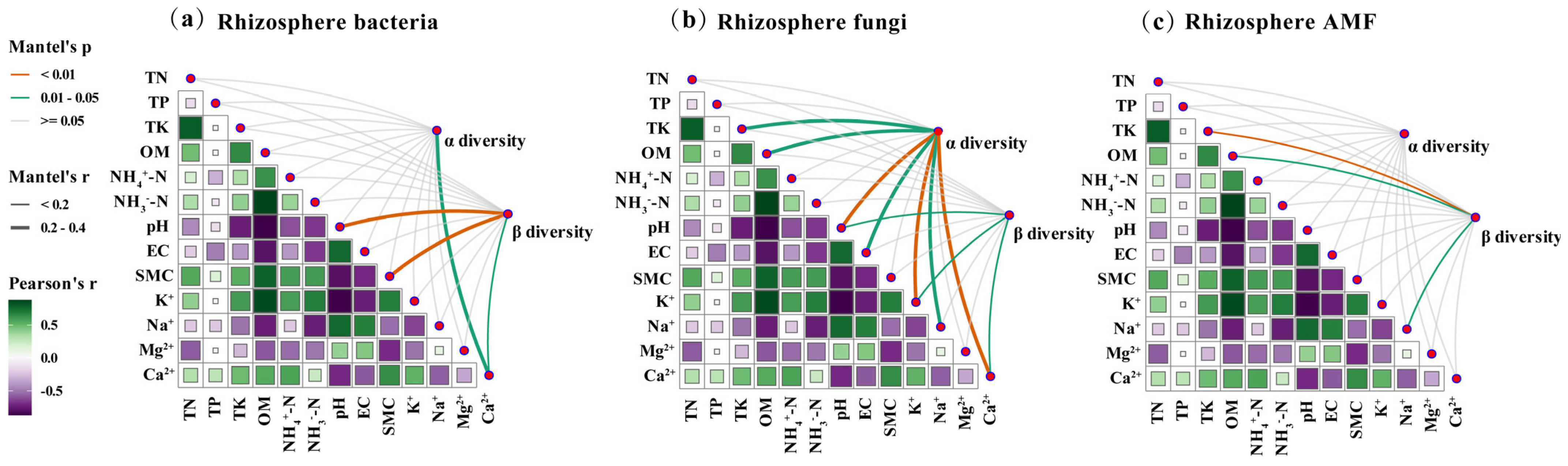Plants 14 01982 g007 Plants 14 01982 g007