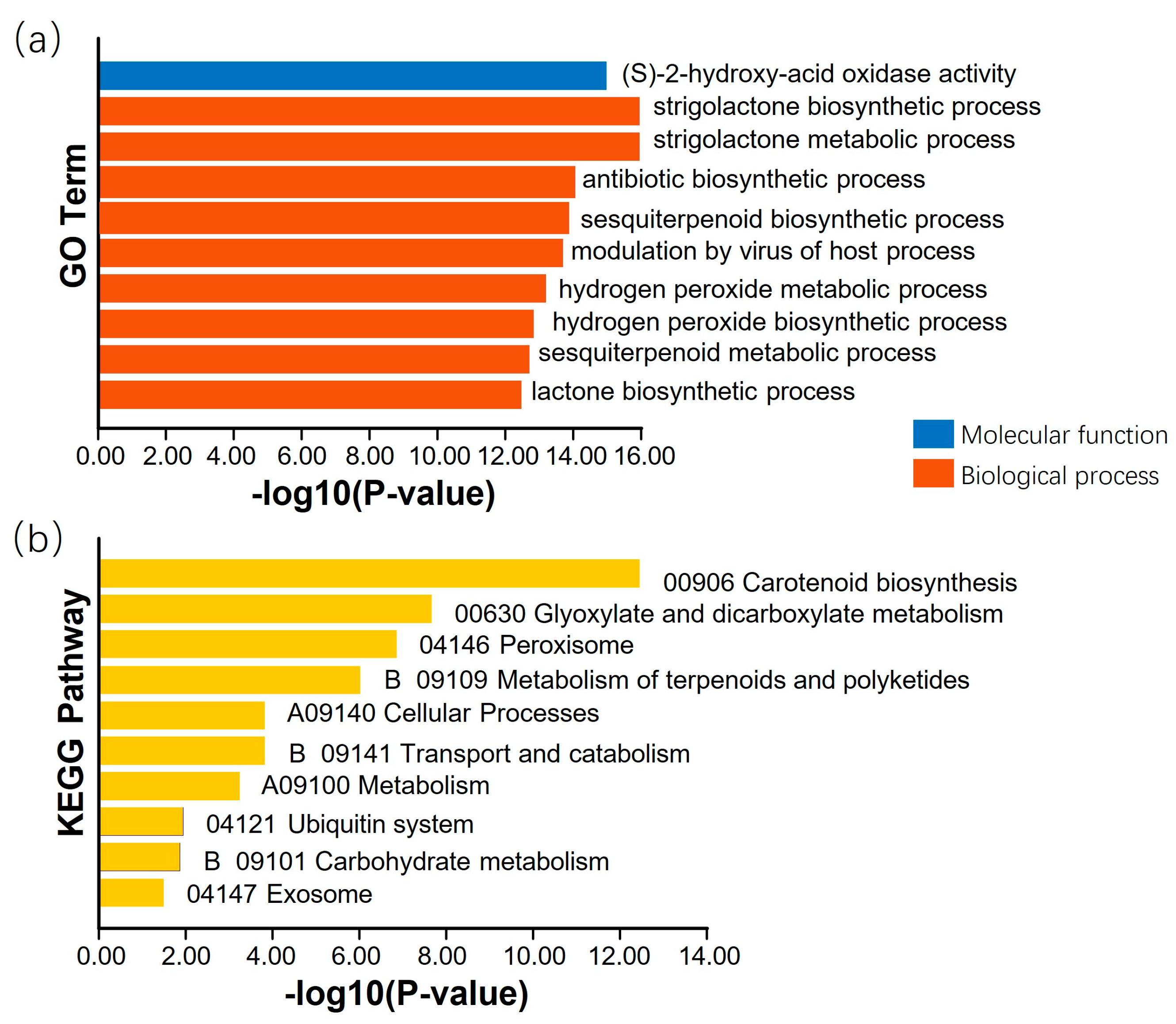 Plants 14 01988 g004