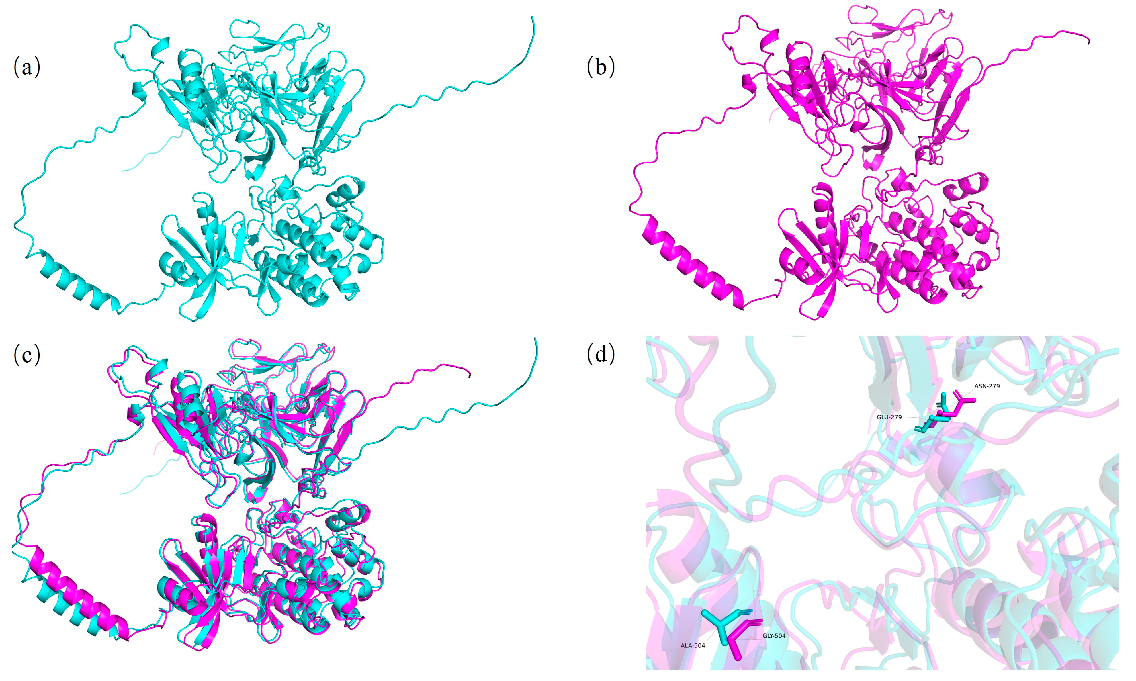 Plants 14 01988 g008