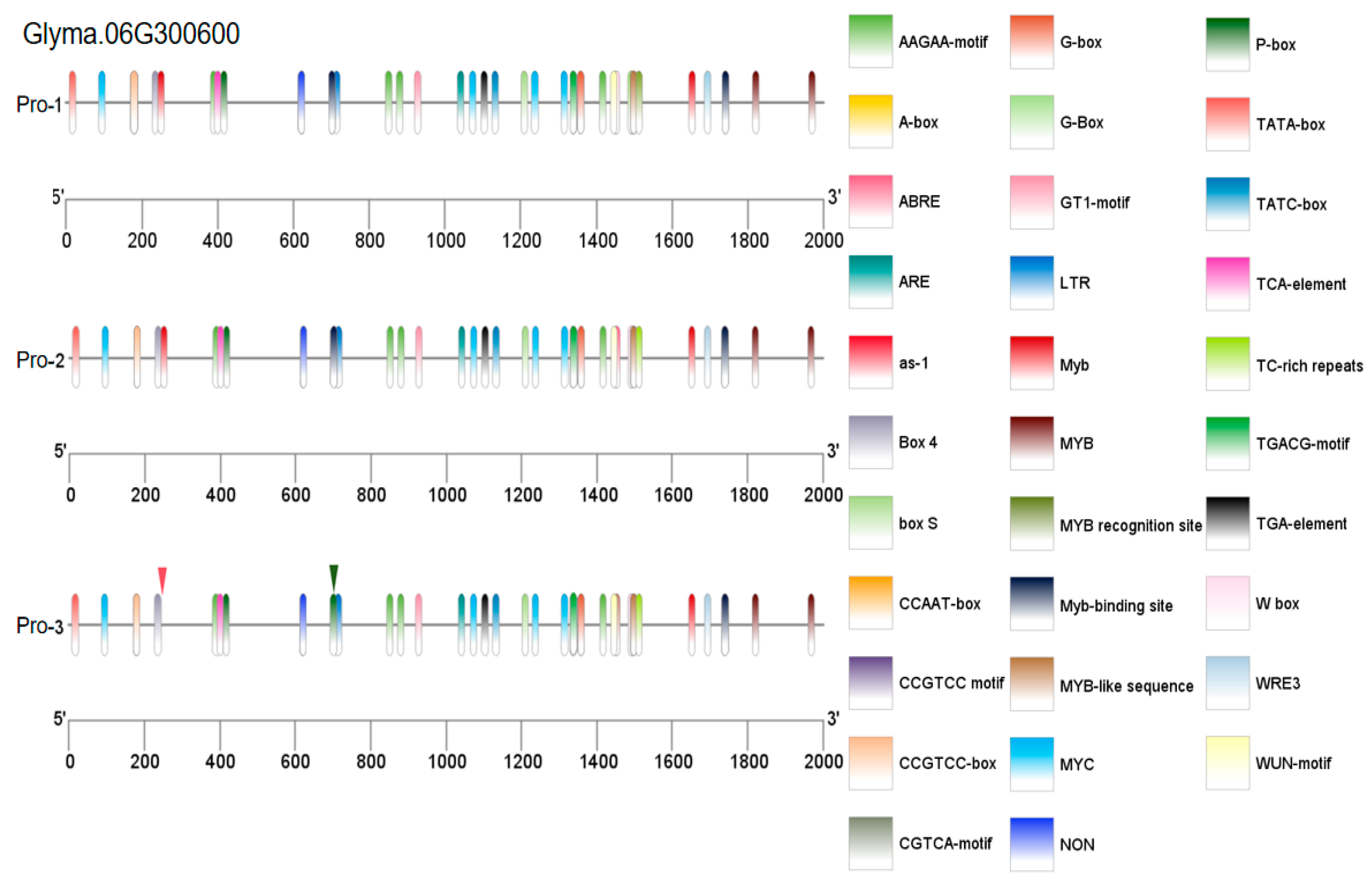 Plants 14 01988 g011