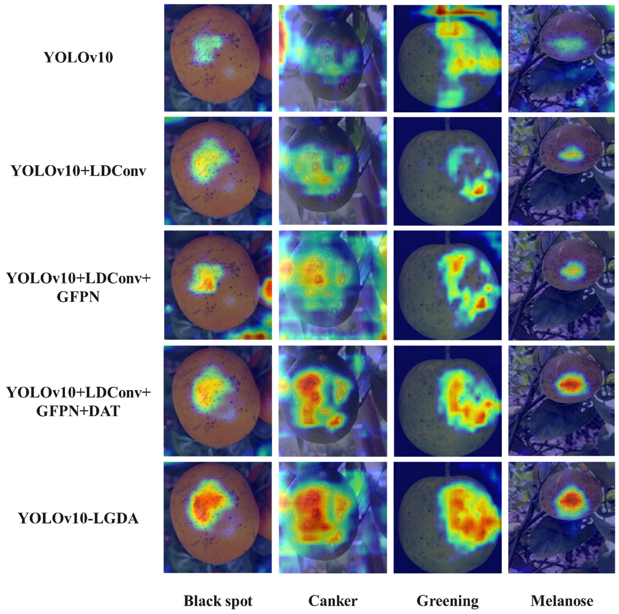 Plants 14 01990 g011