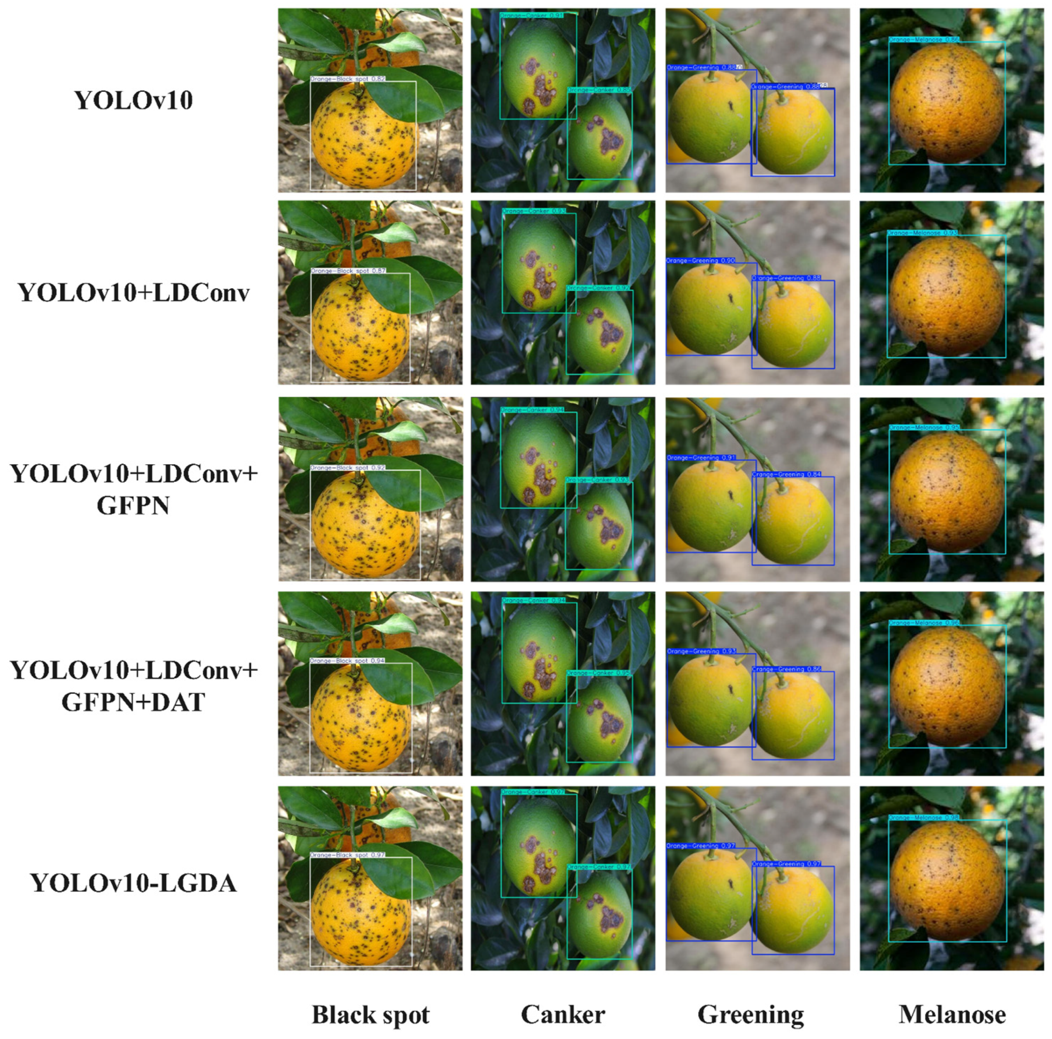 Plants 14 01990 g012