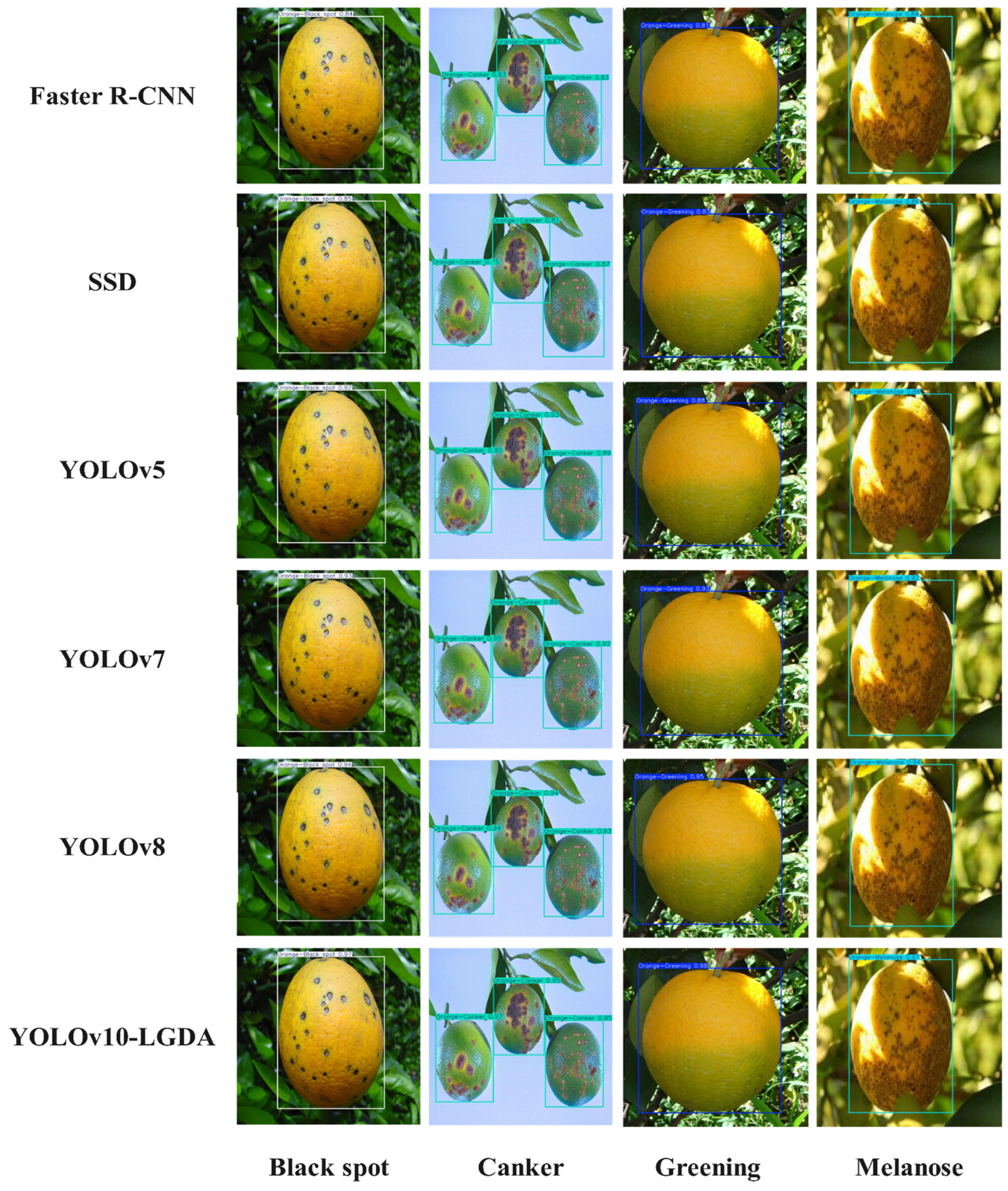 Plants 14 01990 g013