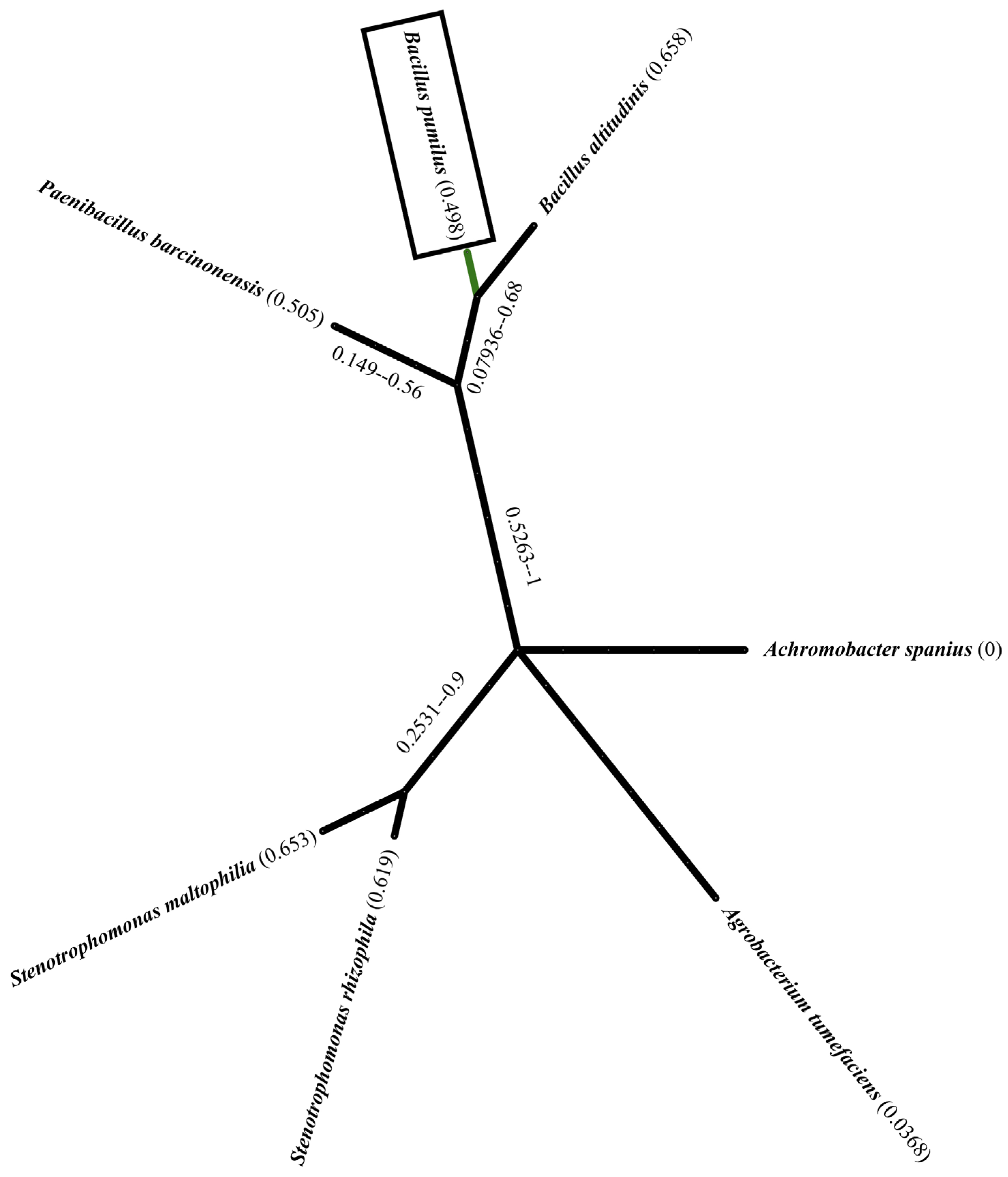 Plants 14 01991 g001