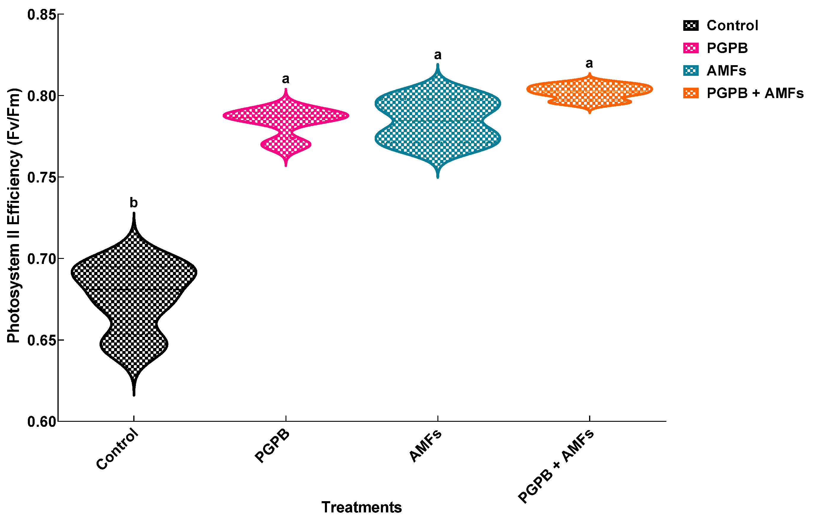 Plants 14 01991 g005