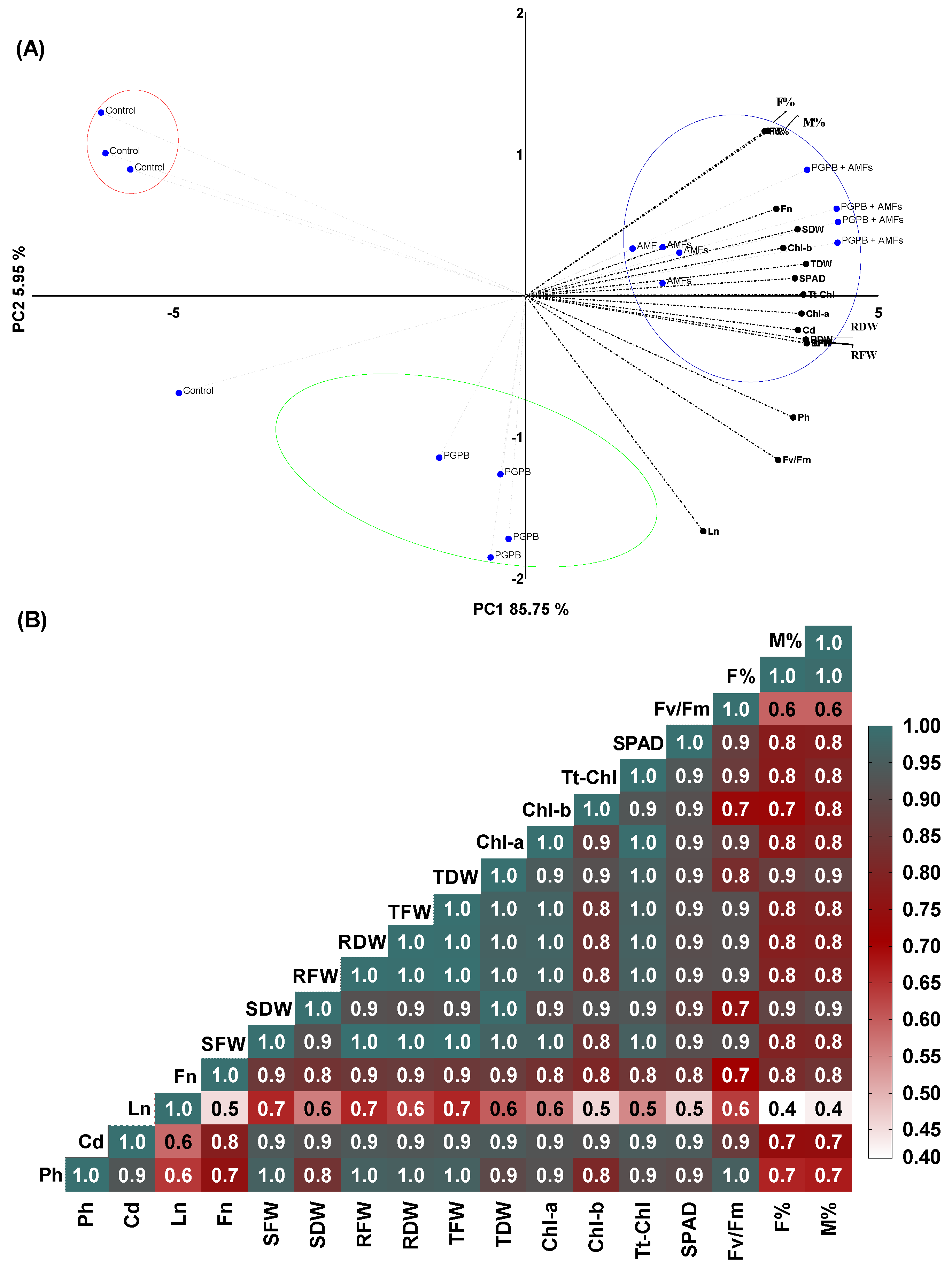 Plants 14 01991 g006