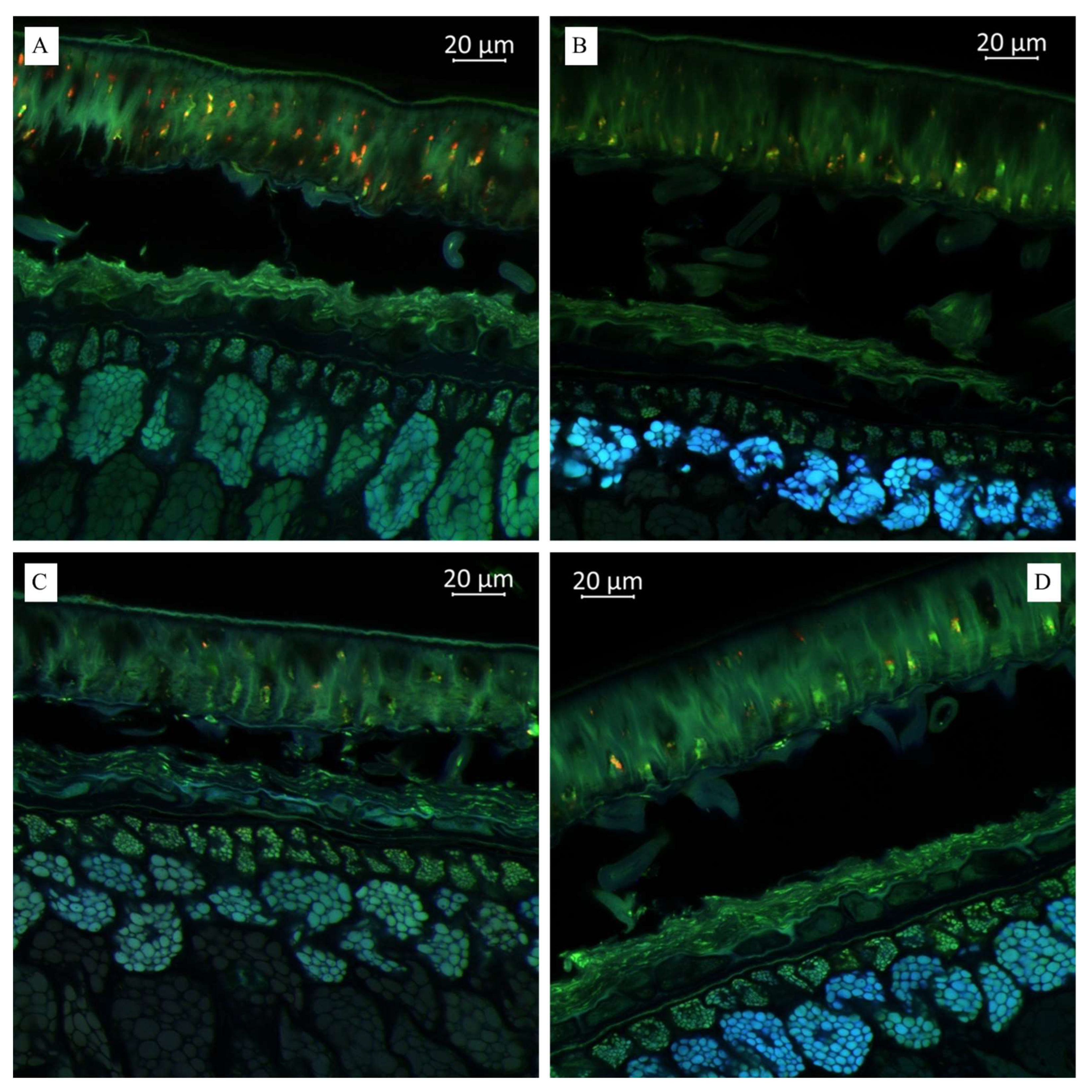 Plants 14 01995 g003