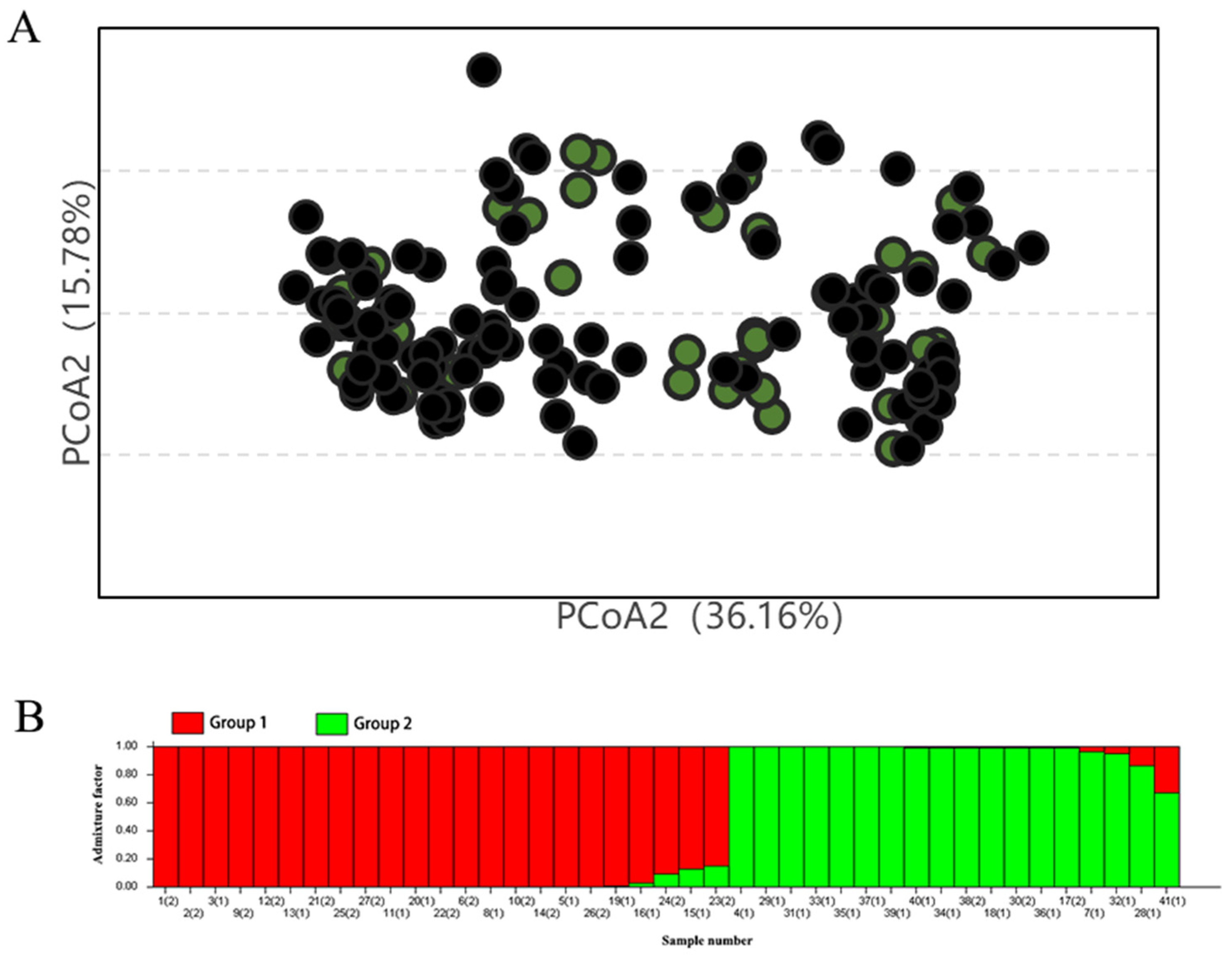 Plants 14 01998 g004