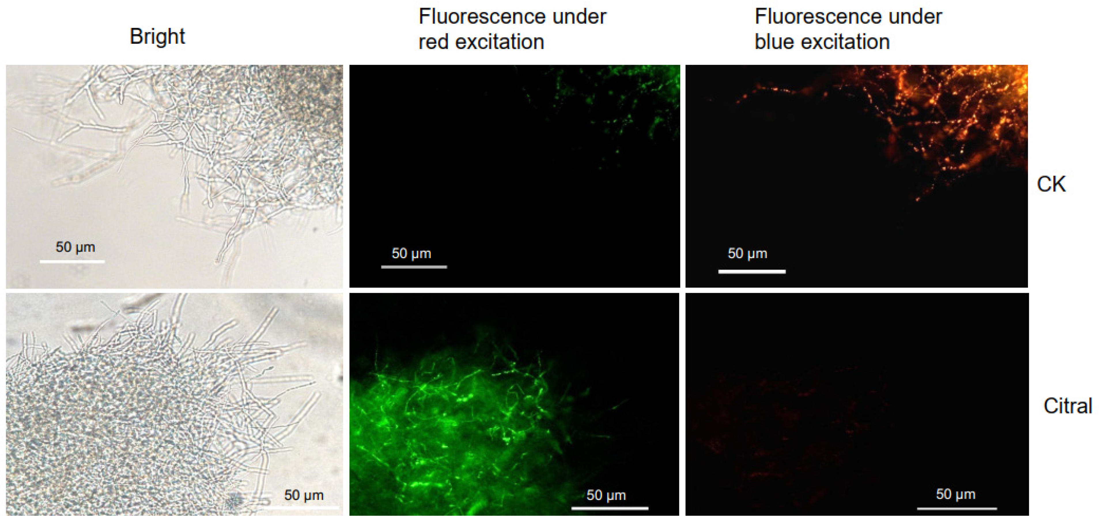 Plants 14 02001 g004