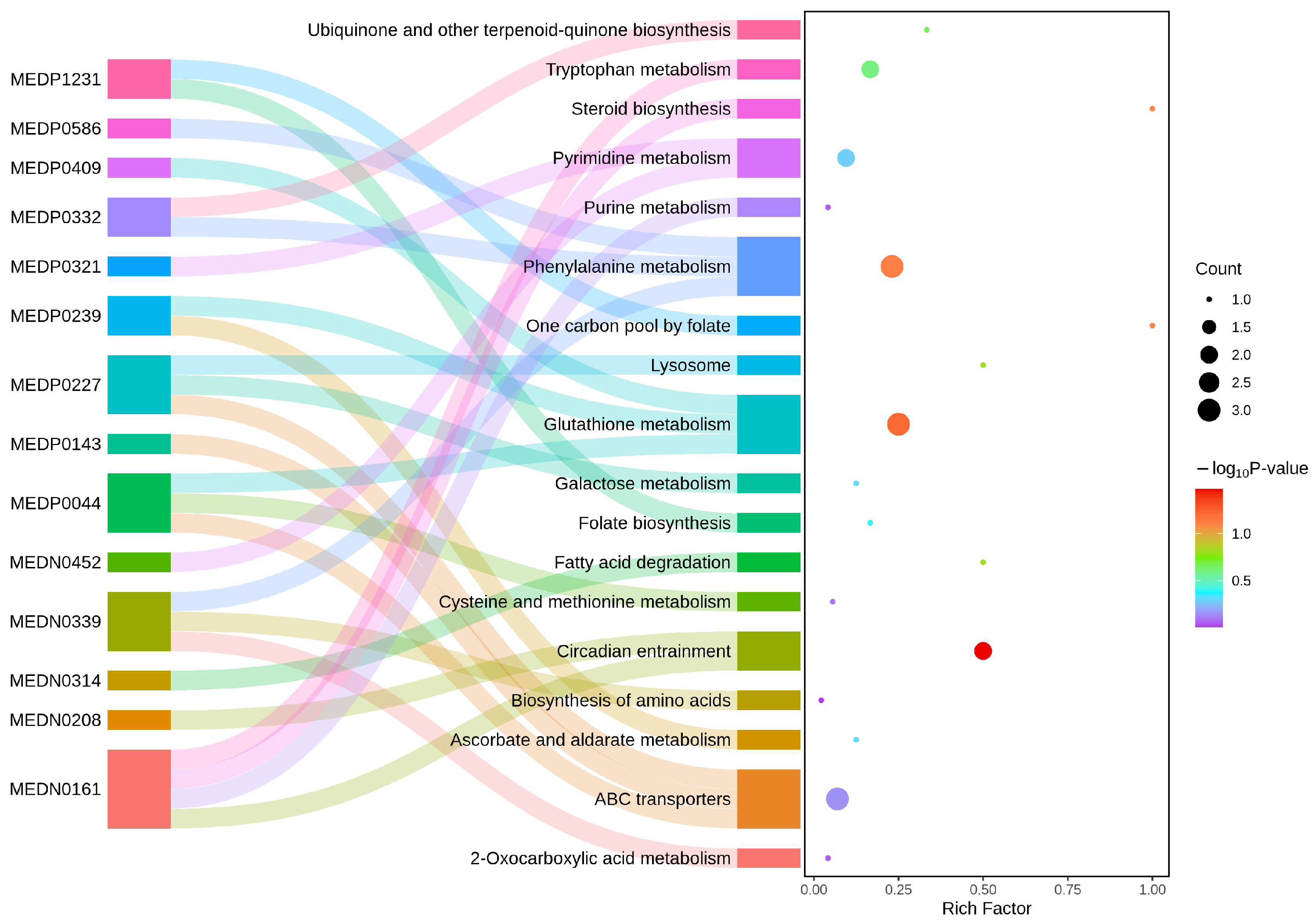 Plants 14 02001 g006