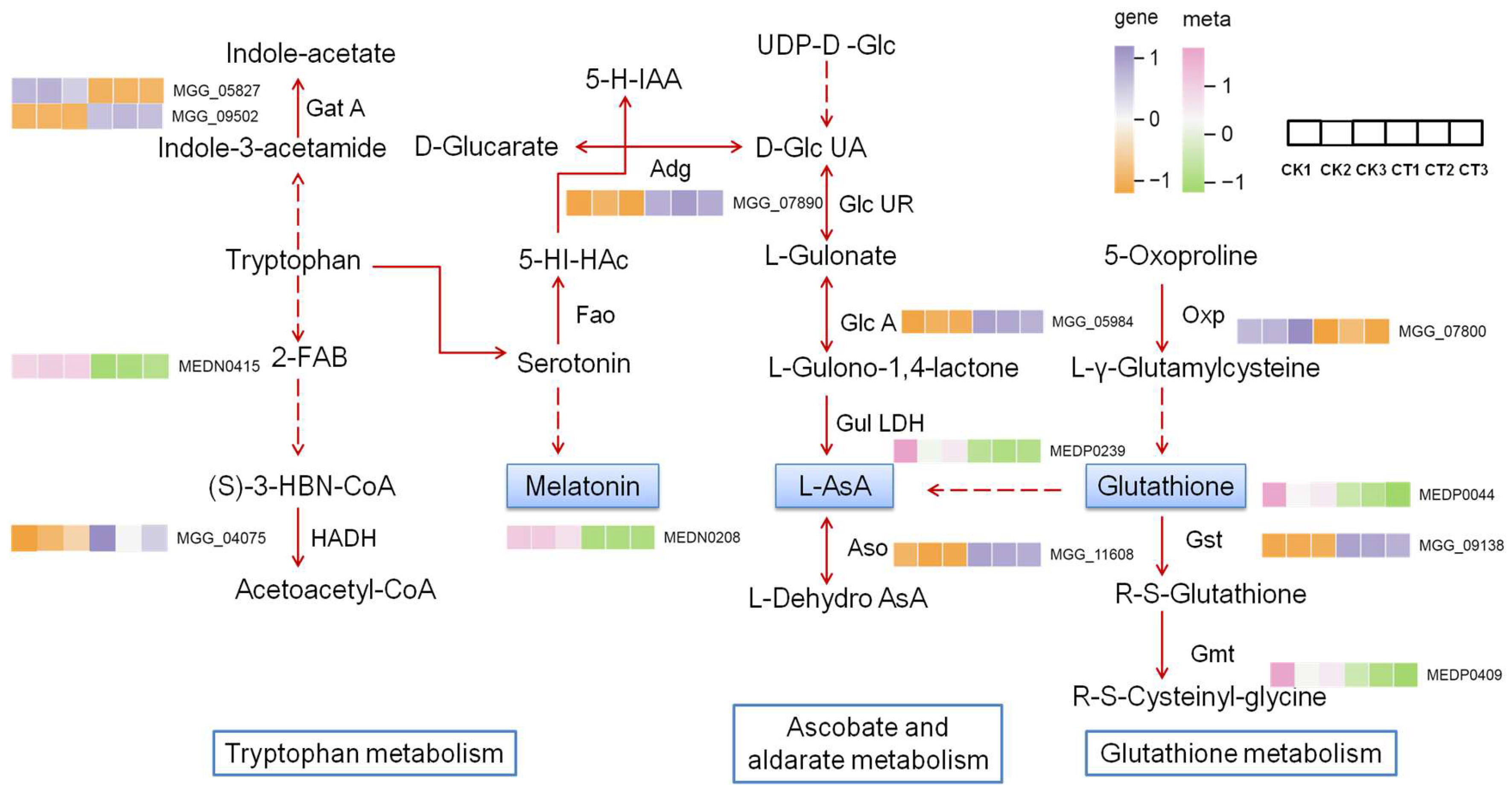 Plants 14 02001 g007